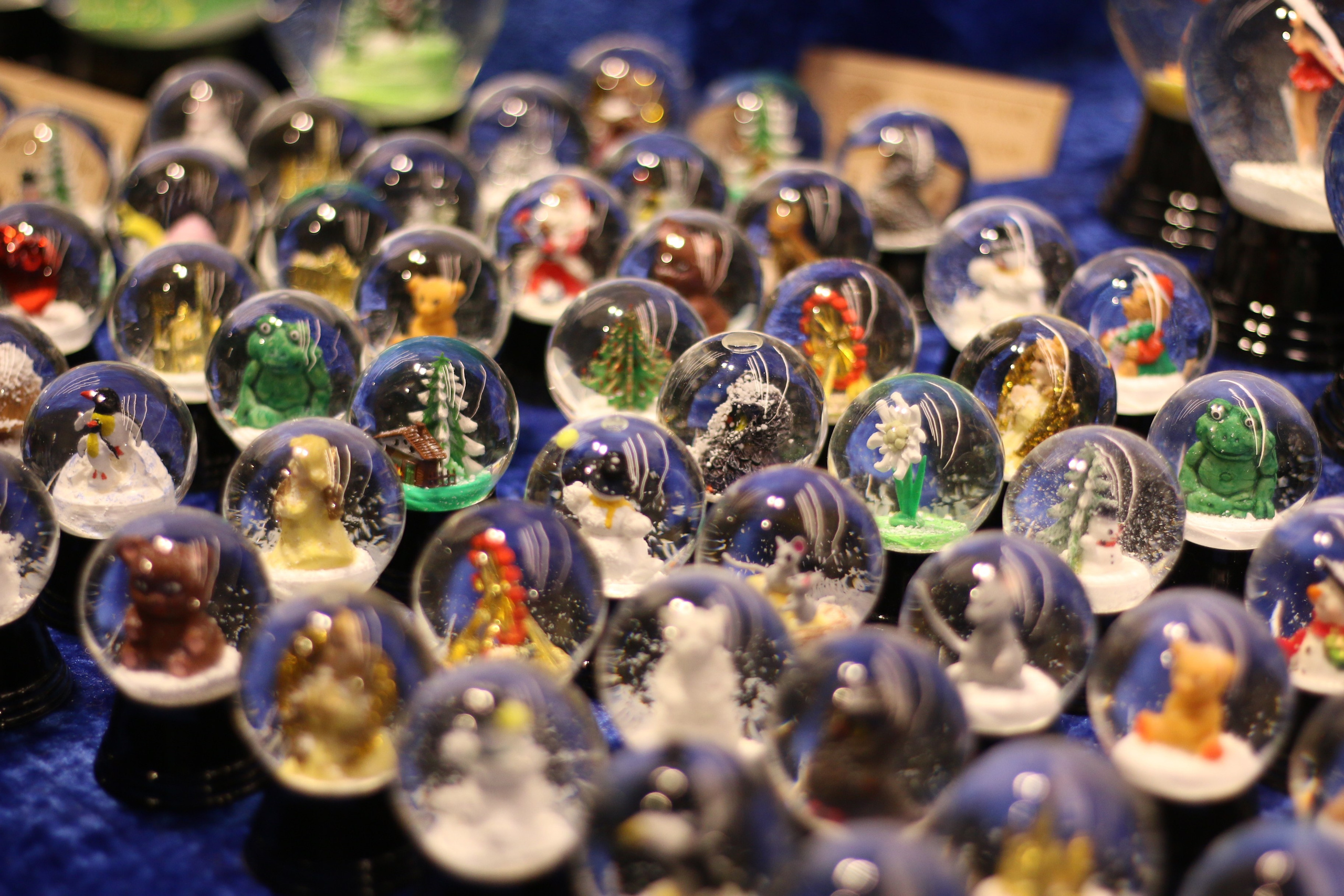 Vienna, Dec.19. Kseny Kolesnik Photography