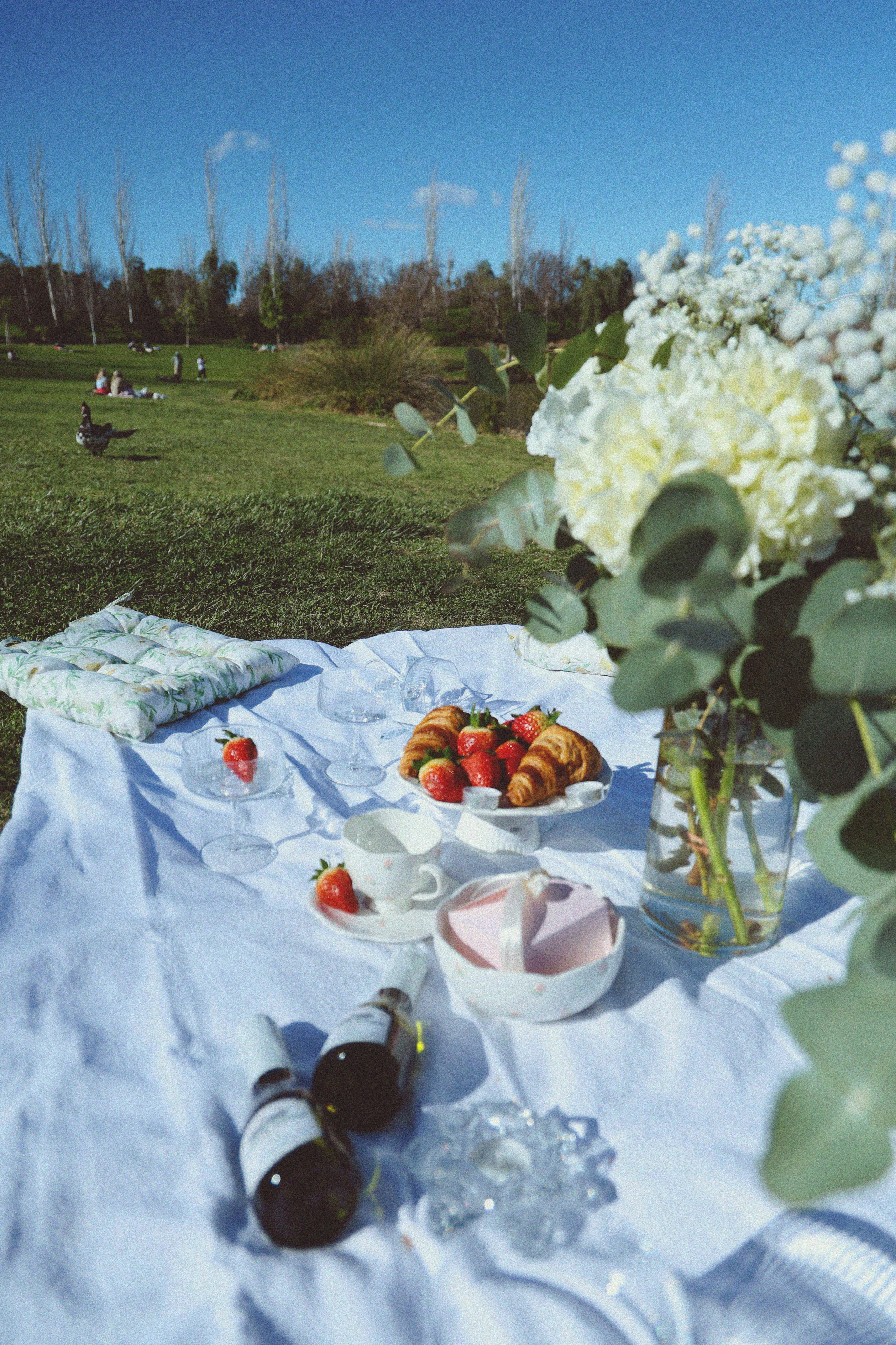 Aesthetic Photo-Picnic in Valencia. Lana Petrychenko — Portrait & Family Photographer. Valencia, Spain