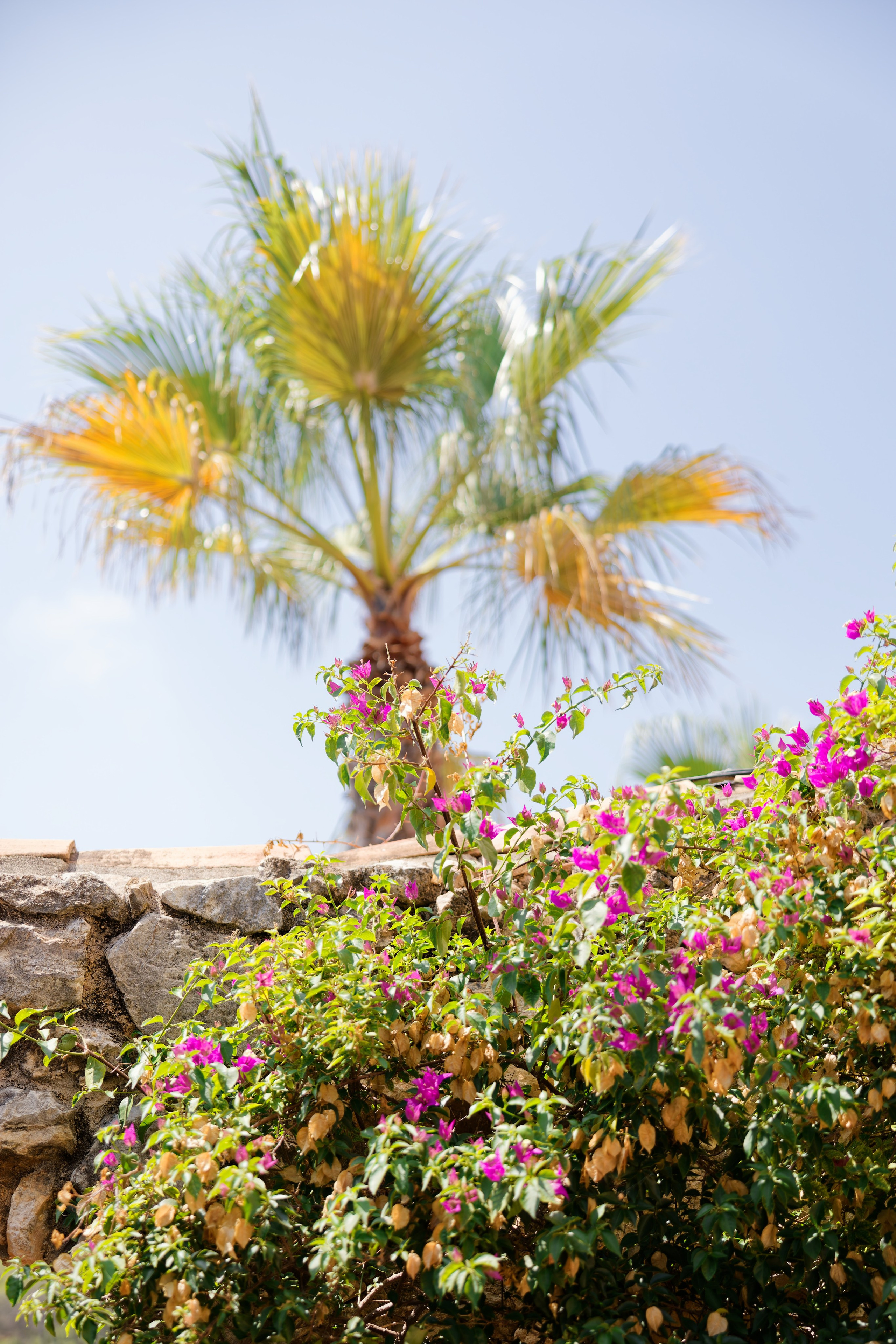 Haldi Ceremony & Mehndi Night & pre-wedding dinner, Barcelona