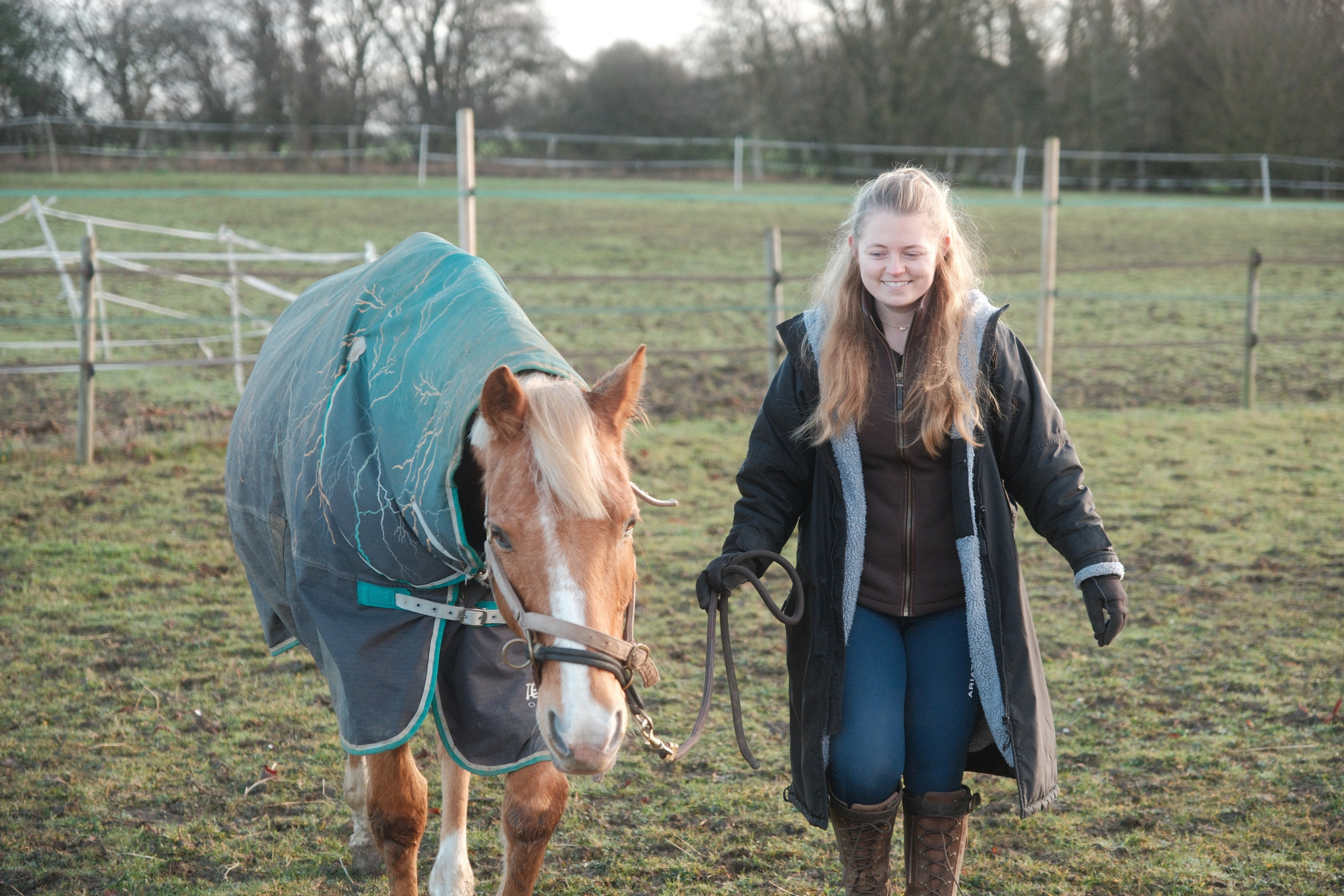 Portrait photography with Fudge the horse. Cal Takes Photos