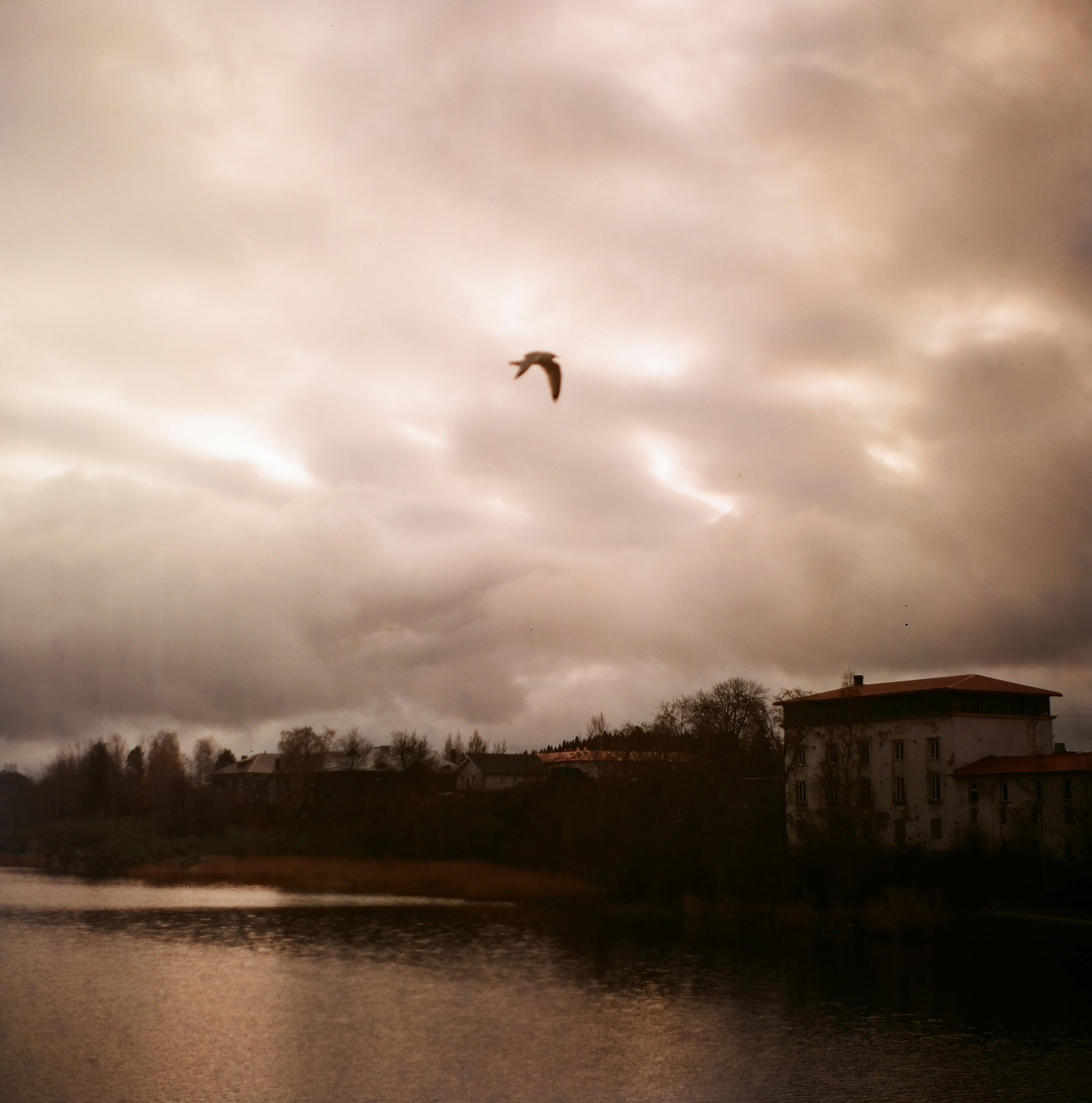 Landscapes. Map of the Borderlands