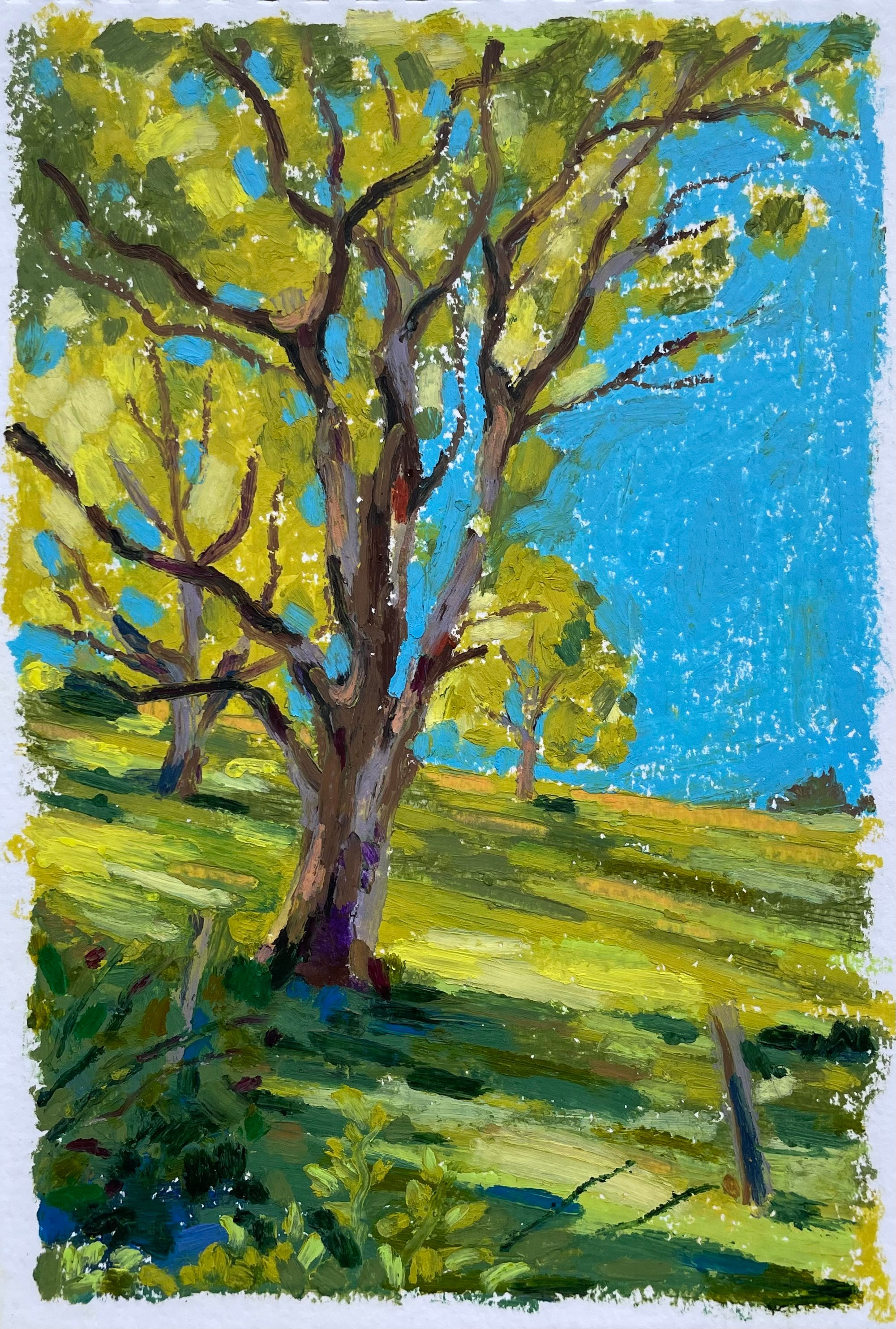 Auvergne-Rhône-Alpes. Marina Semenova