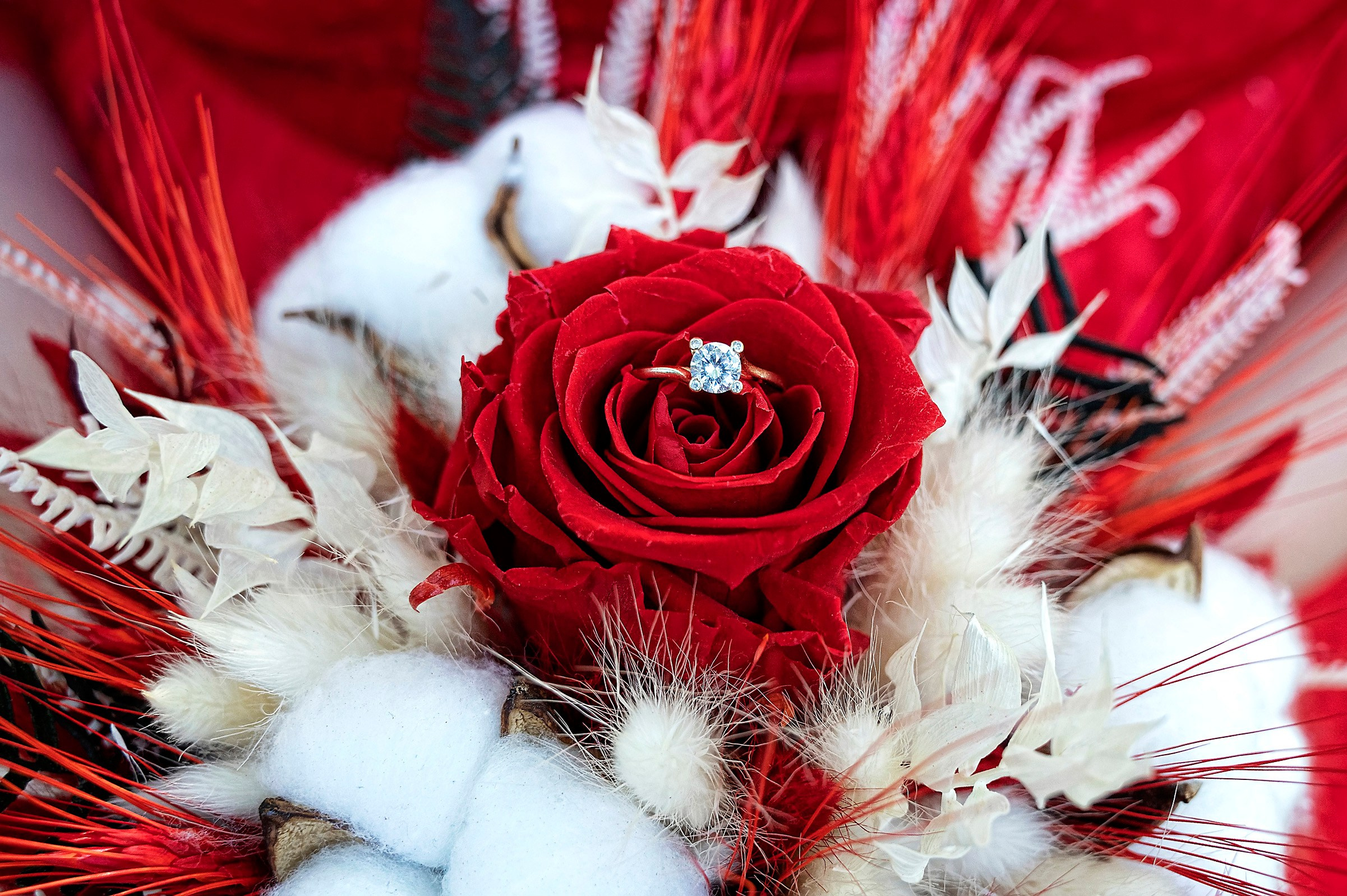 Fotograf Cununie Craiova Pitesti 2024