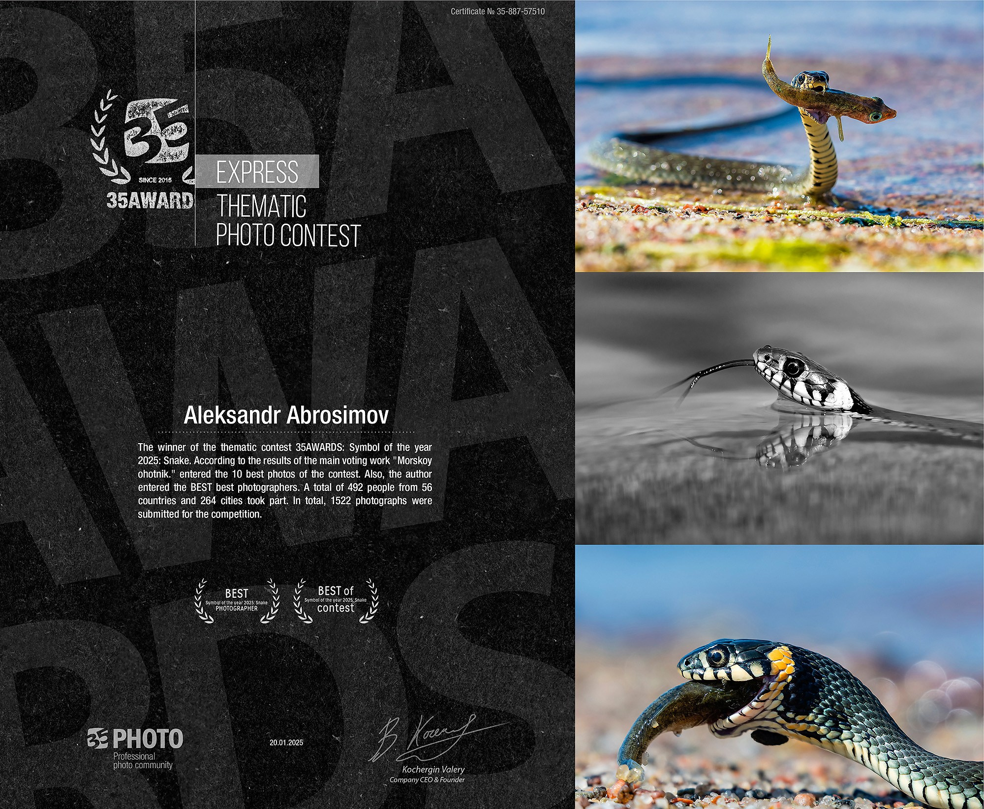 Awards and publications. Aleksandr Abrosimov Photography