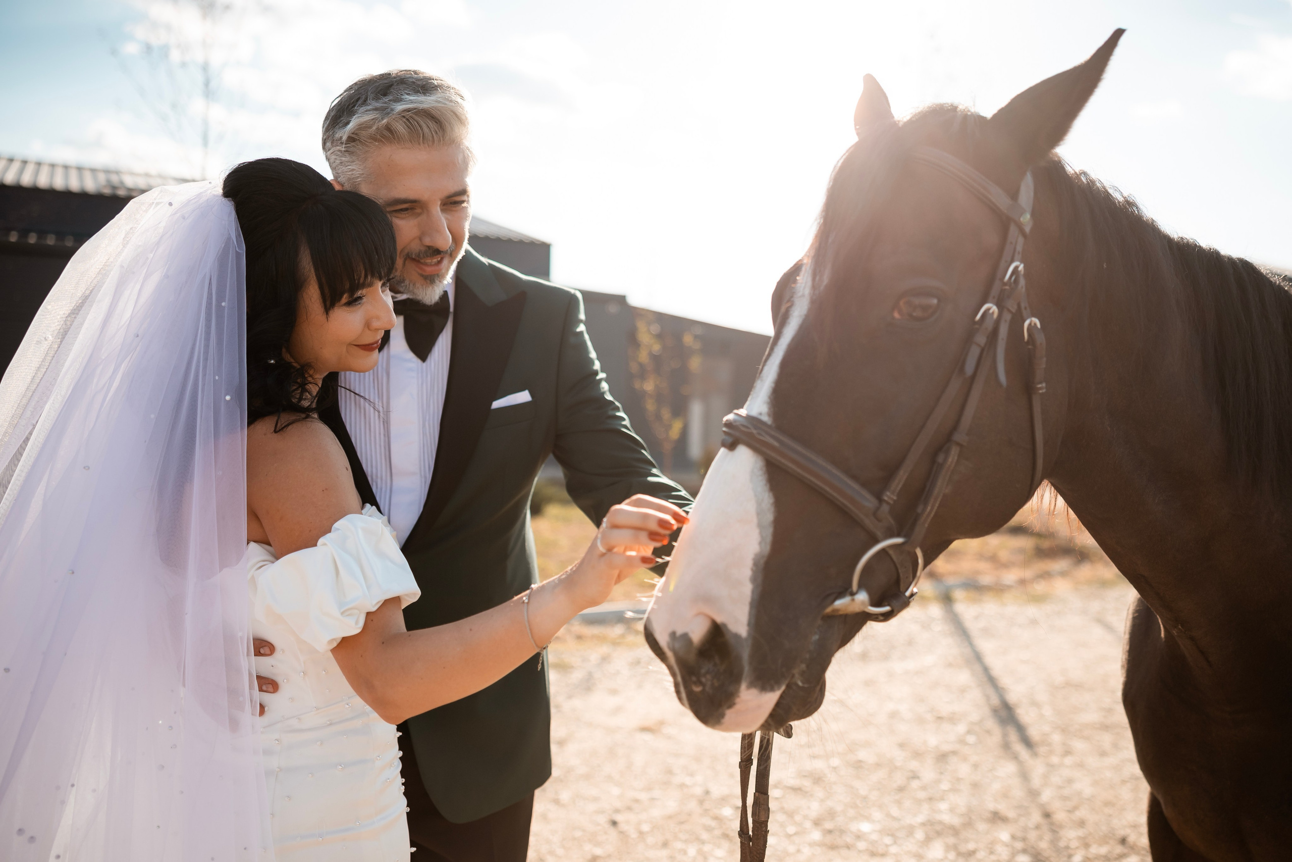 Corina & Adrian. Blink Photo — Fotografie & Videografie Nuntă