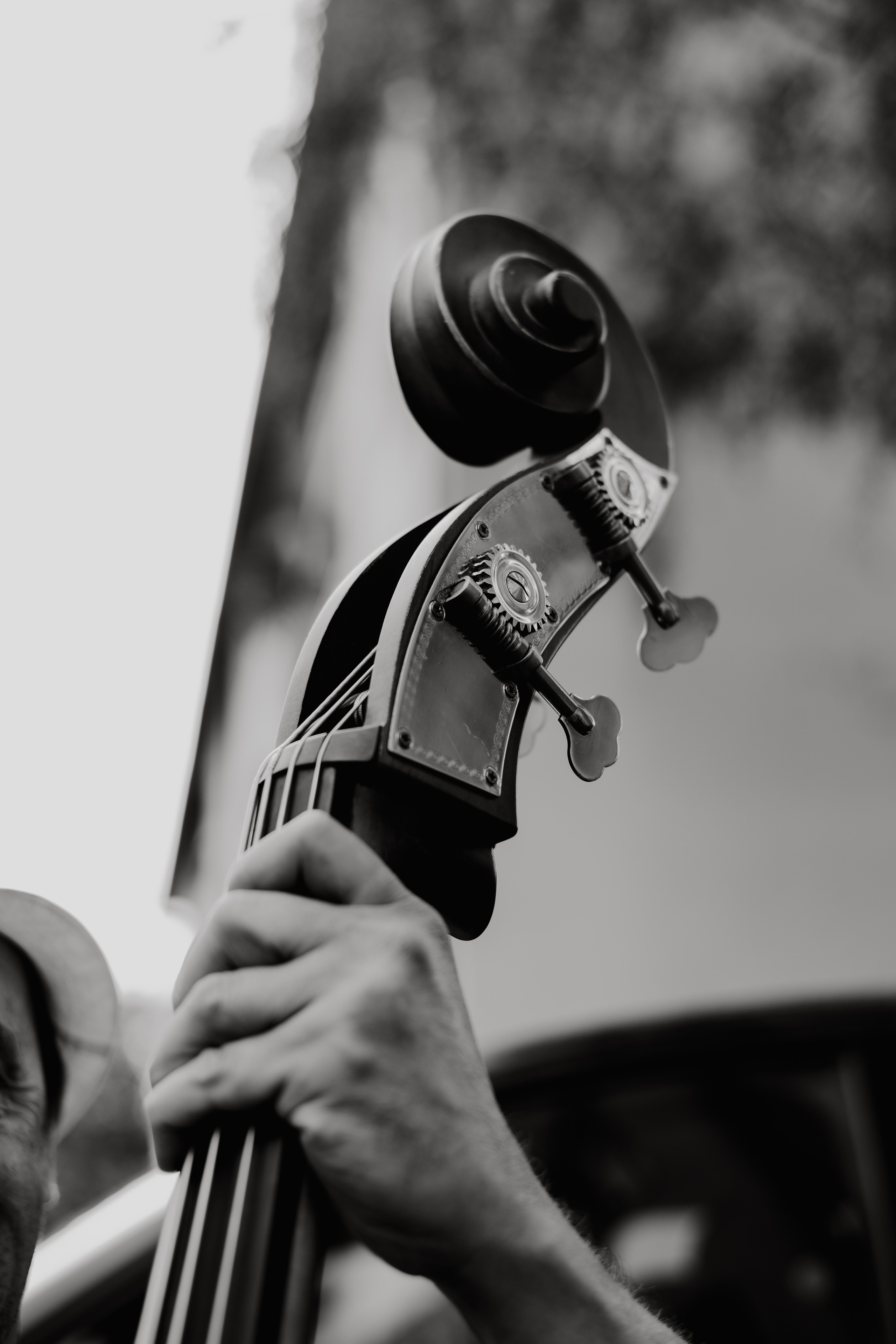 A&S. Wedding & Family photographer Jelena Anđelić