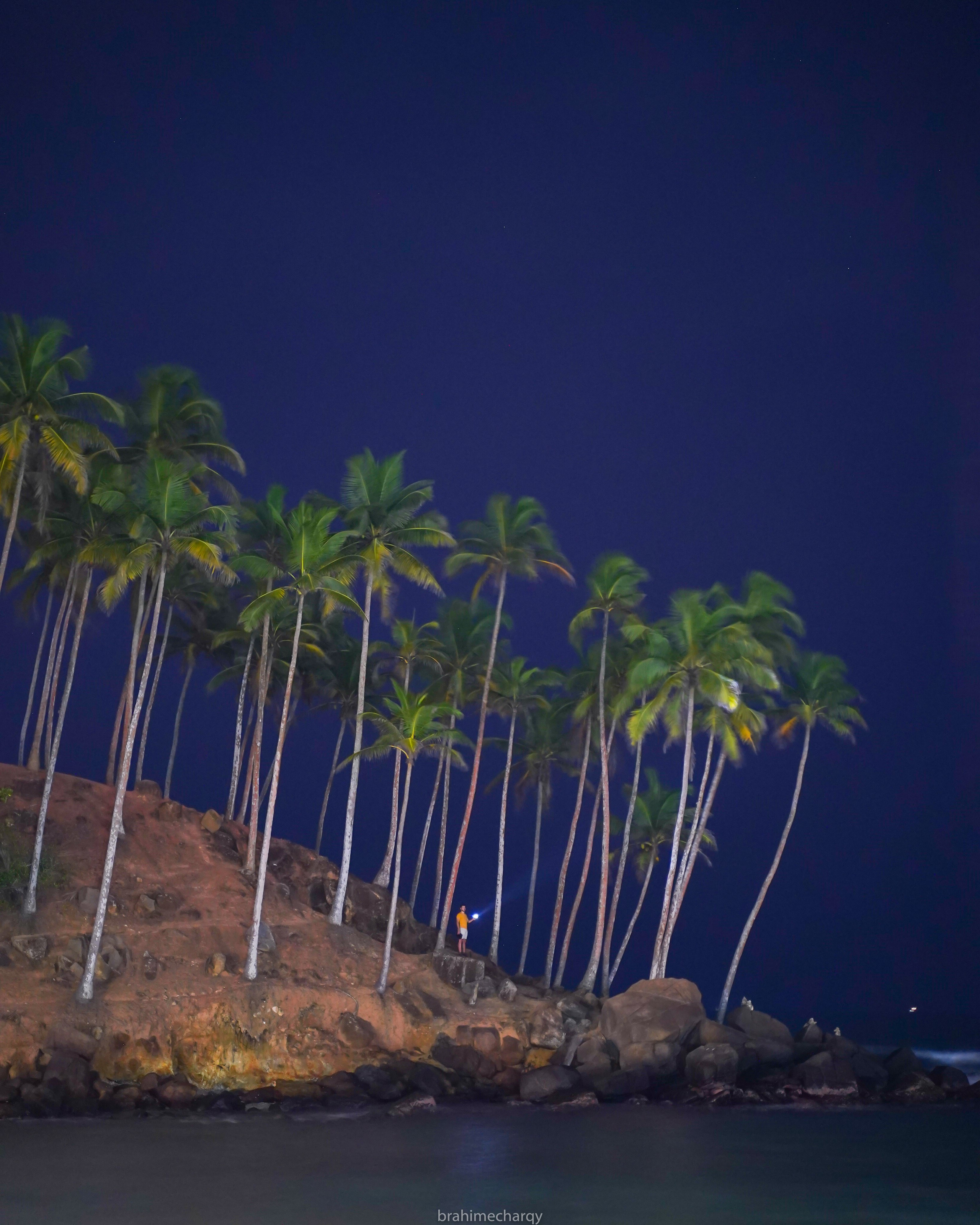 Фото. Брахим — фотограф