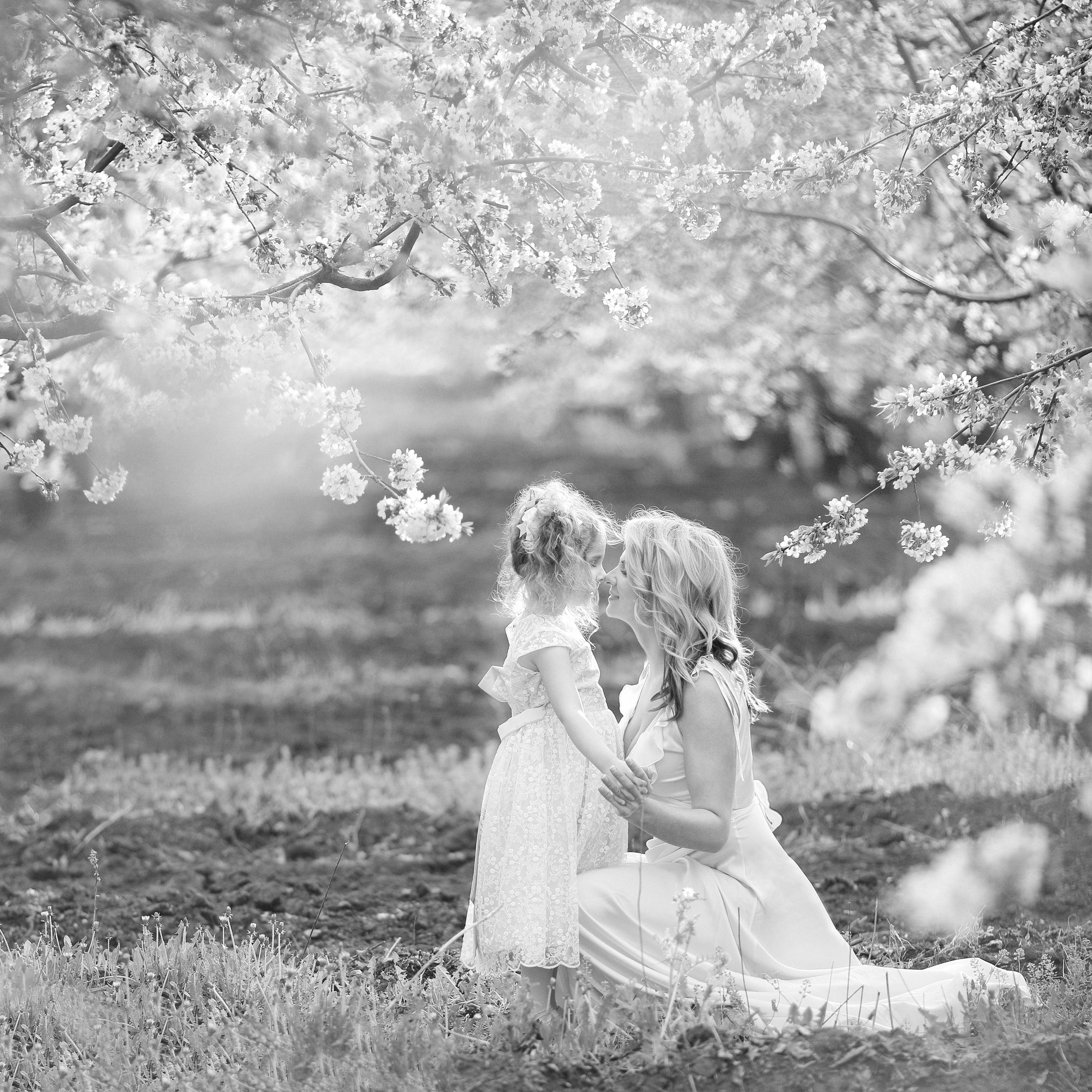 Foto de familia. Fotógrafo de bodas. Fotografía de retrato. Fotógrafo Alicante, Madrid