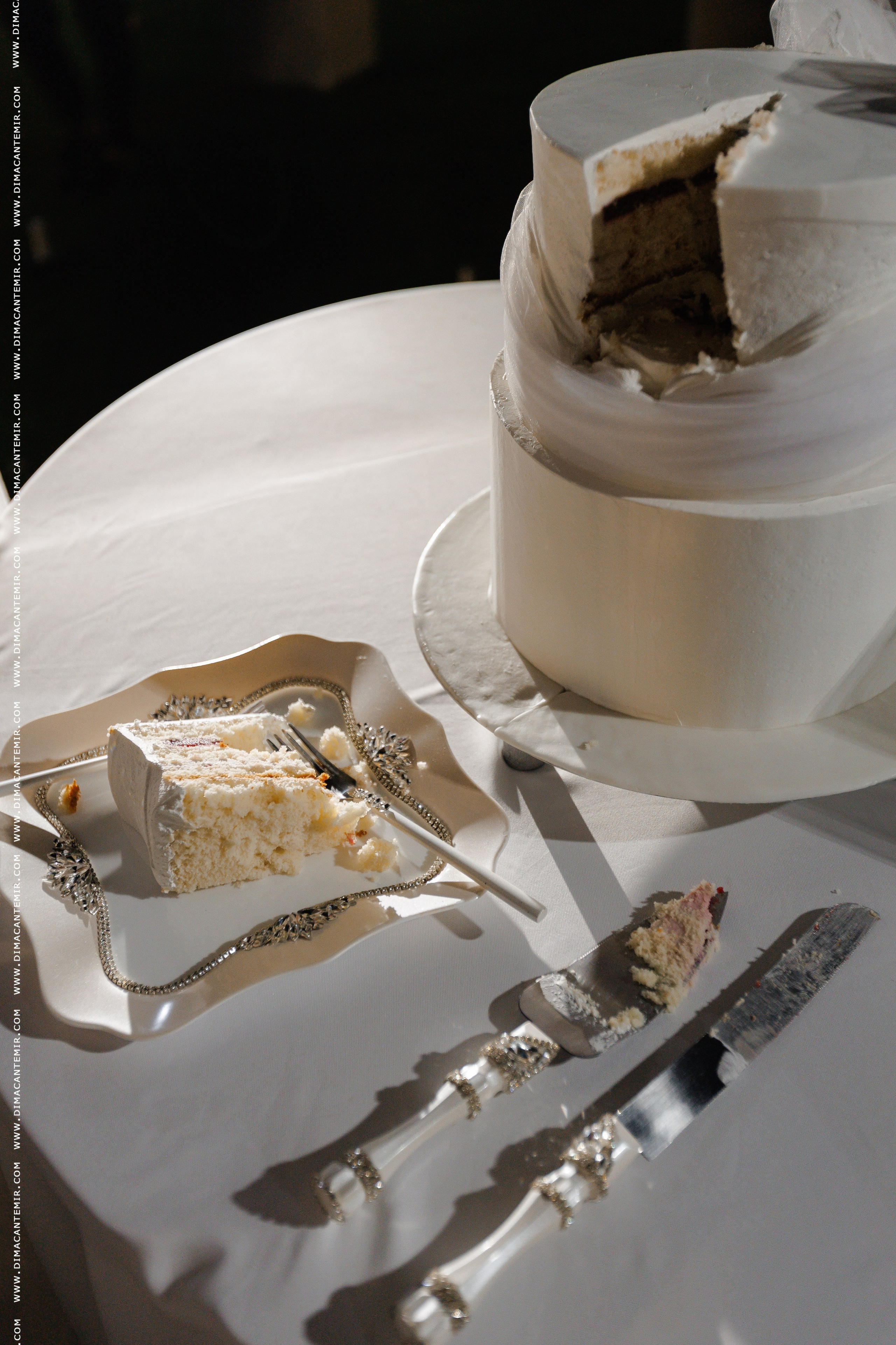 VLAD + YANA. Fotograf de nuntă în Chisinau, Moldova. Poze și Video Comerciale