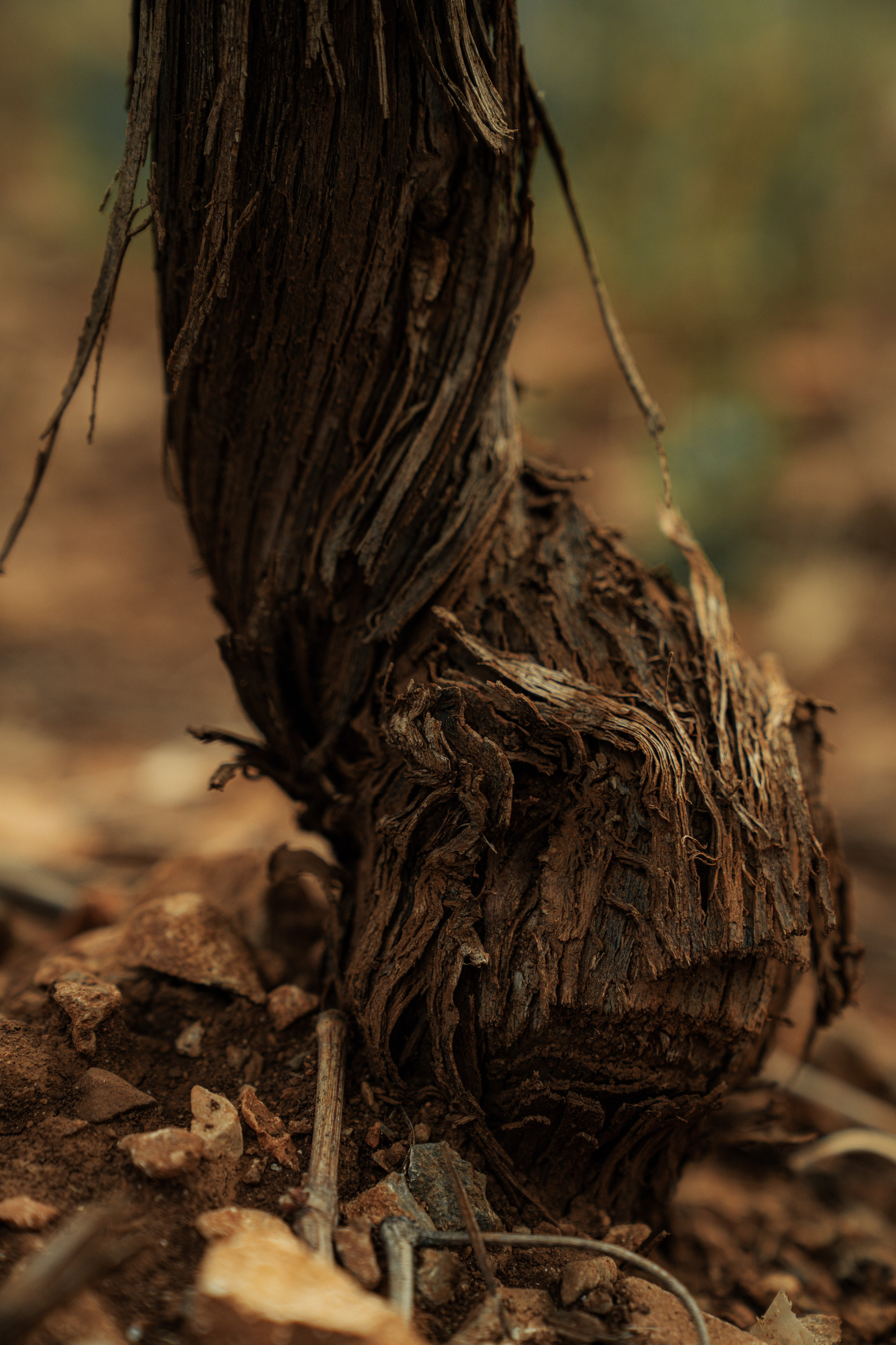 Estates Costa Lazaridi