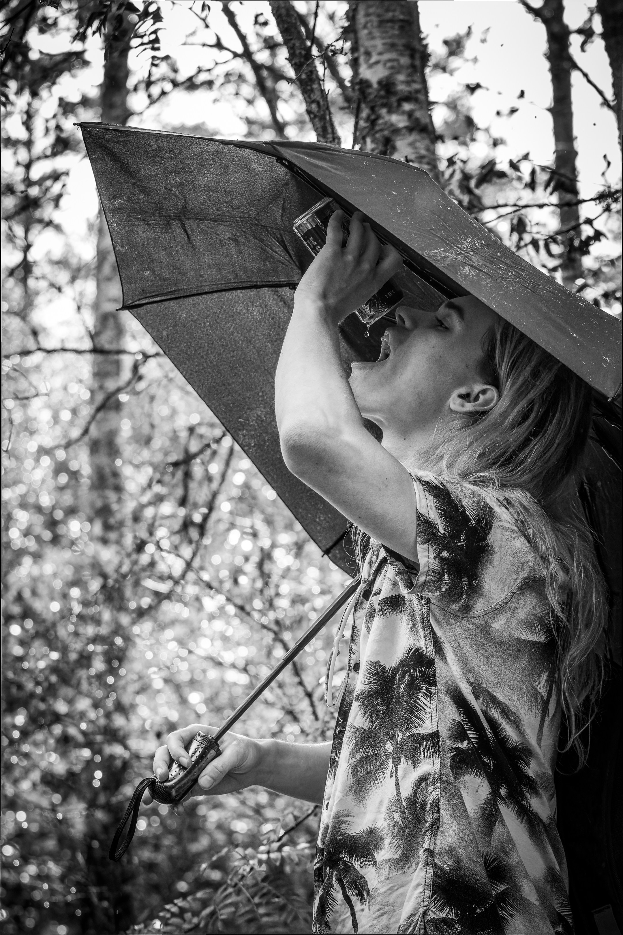 Mets, vihm ja jahedus (Dimitry). Nebula 25 — Fotod teie hingele