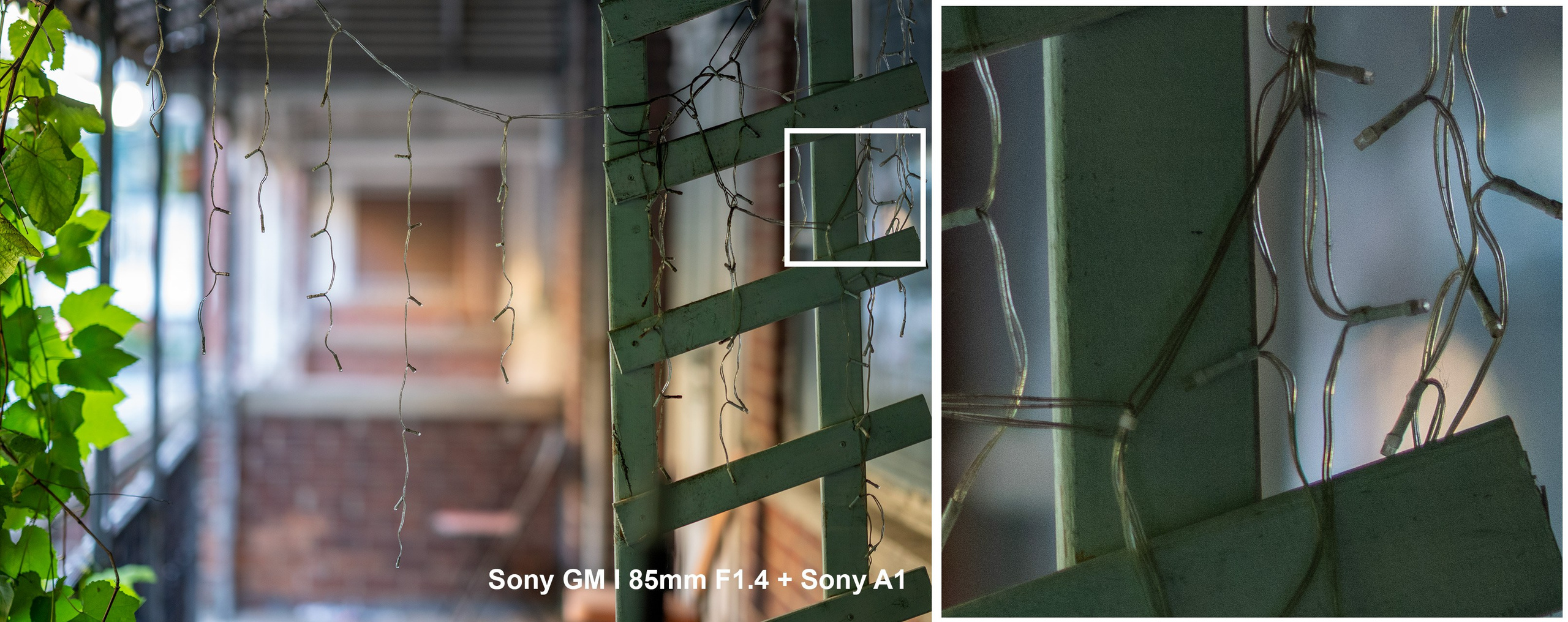 TTArtisan 75mm F1.5 Today comparison with other lenses. Emin Kuliyev — Award-Winning Wedding Photojournalist NYC & USA | Best Wedding Photographer Known for Candid, Timeless Moments