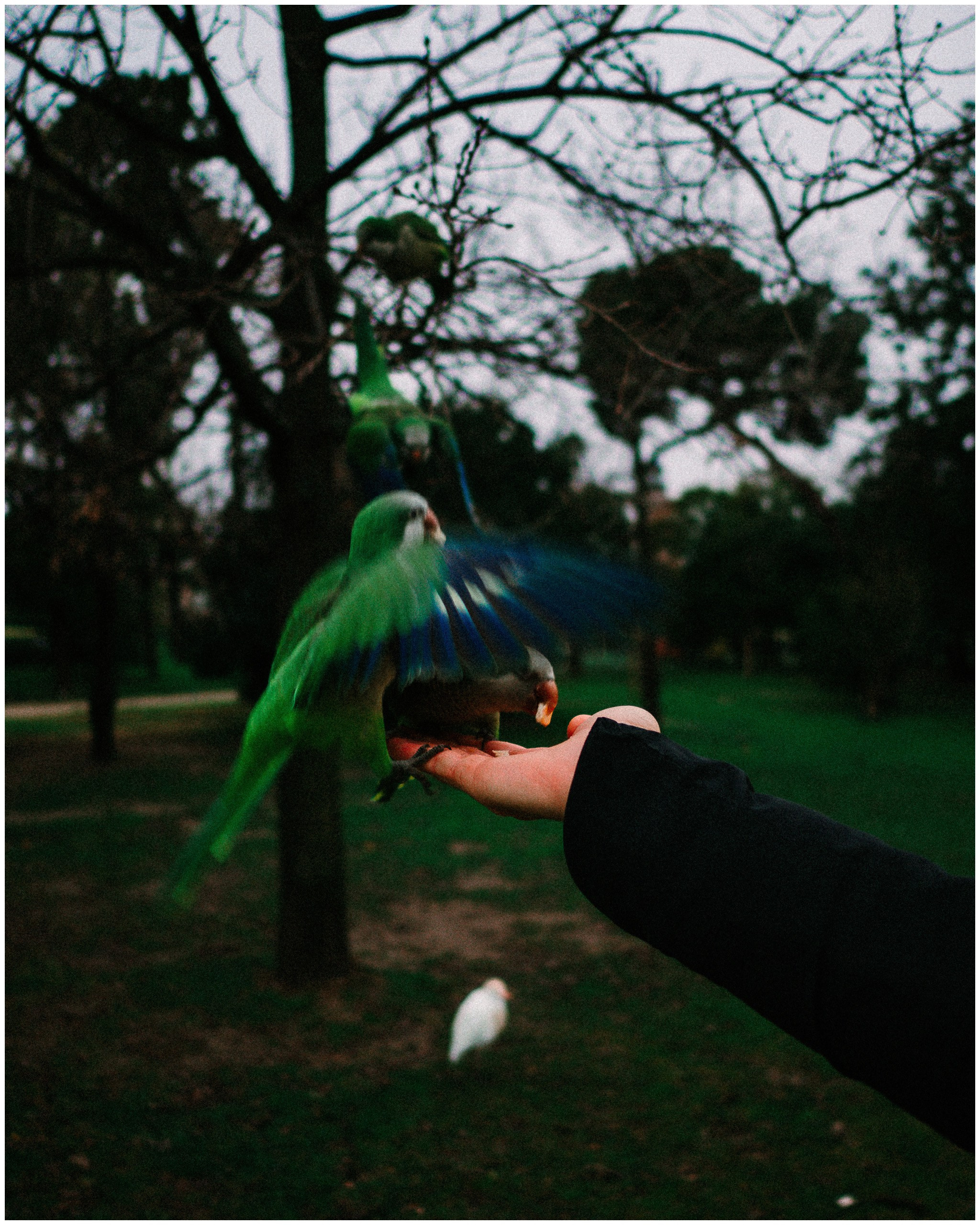 BARCELONA. Inna Mendelson — Photographer