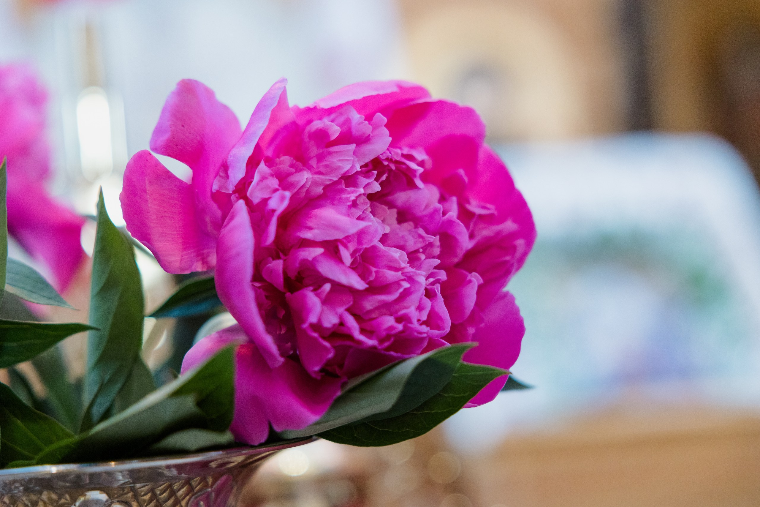 Olivia Ioana. Bogdan Vancea | Fotograf Nunta Ploiești