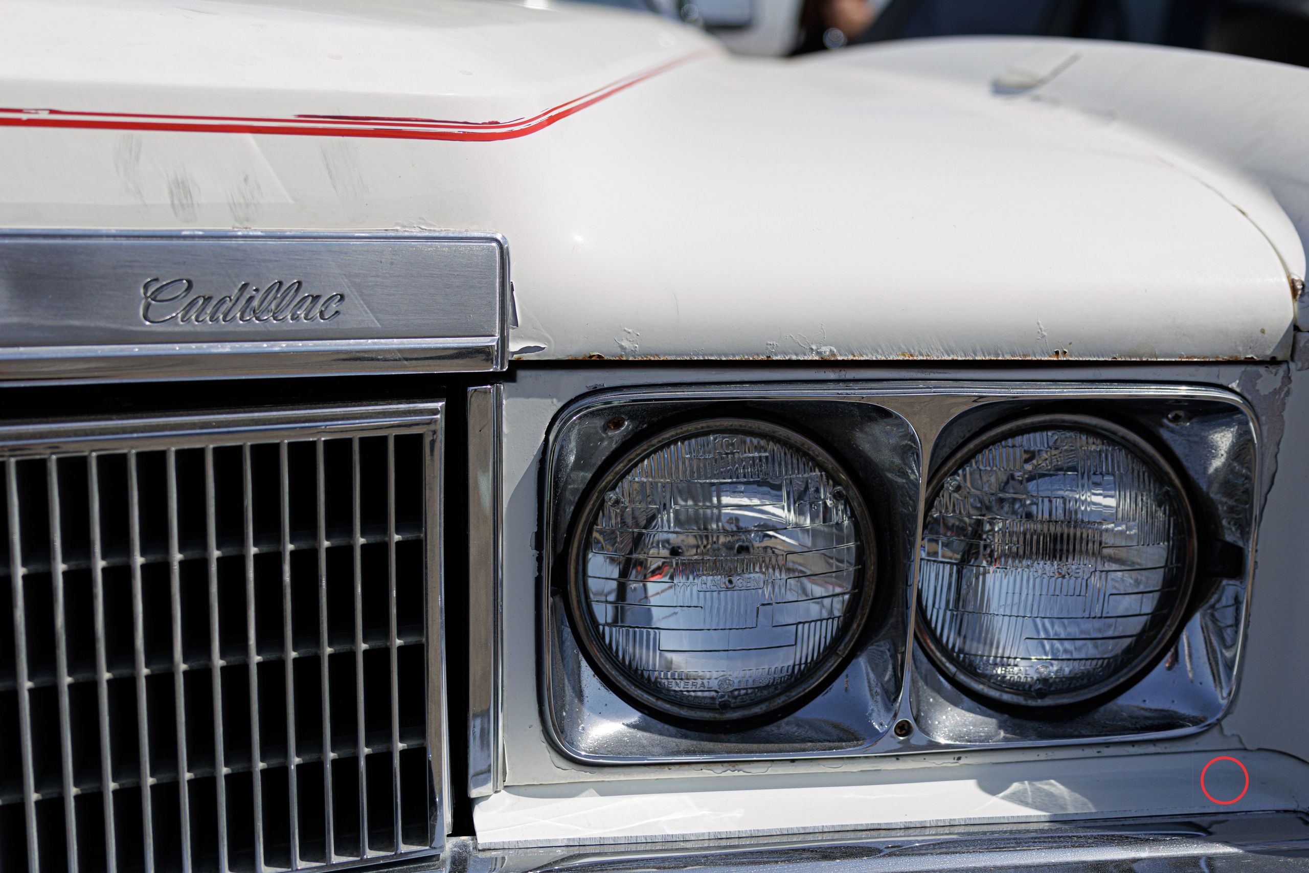 კოტეტას თასი 2025. FramefreeMan