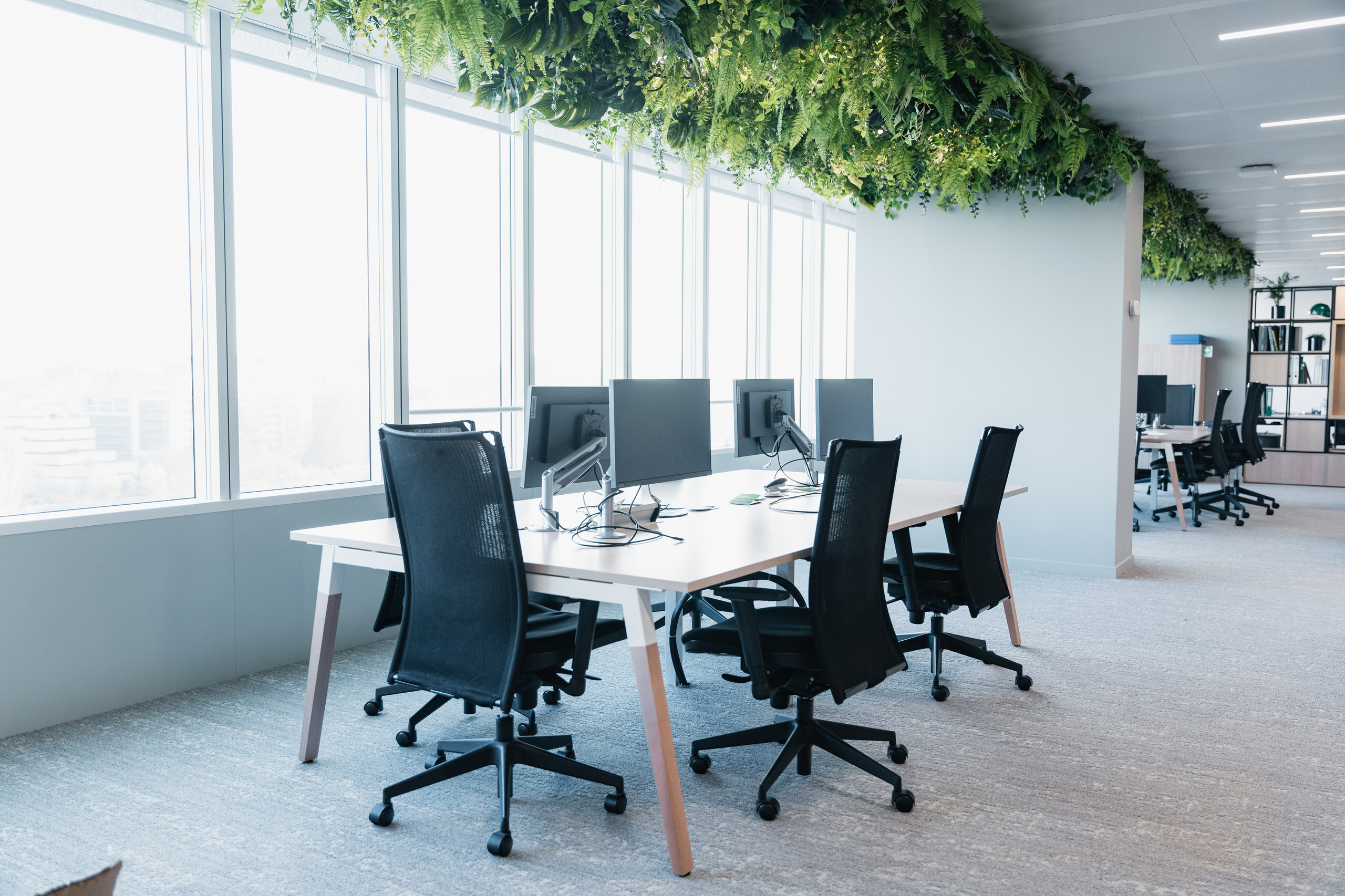 Office. Photographer in Paris — Vitalii Motruk