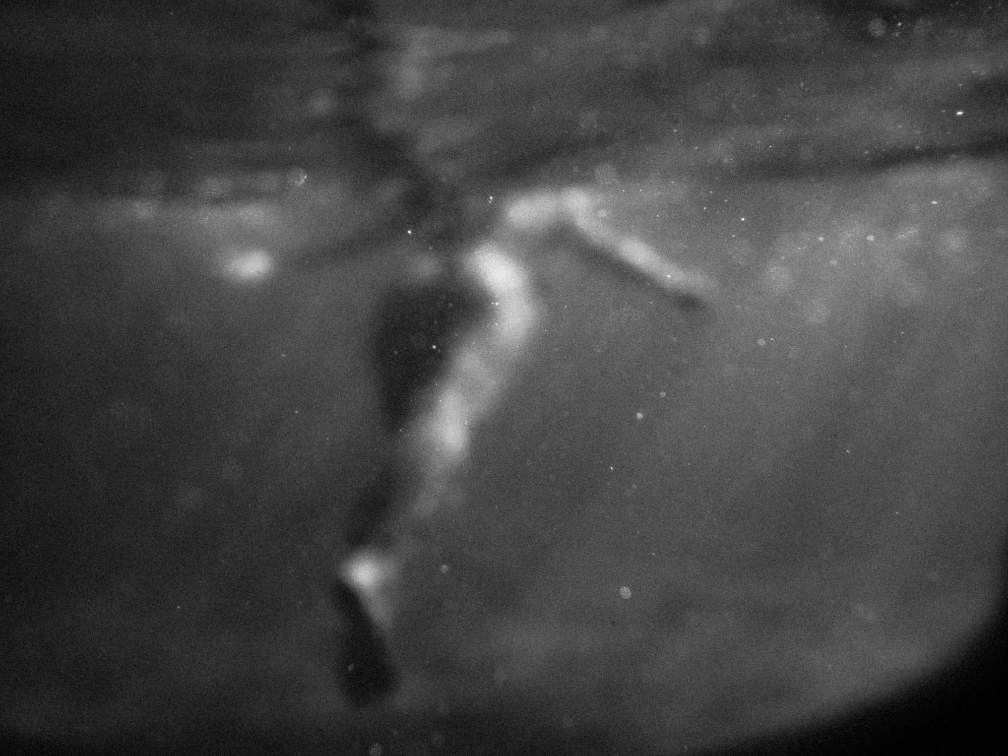 Лиза. Film portrait photographer