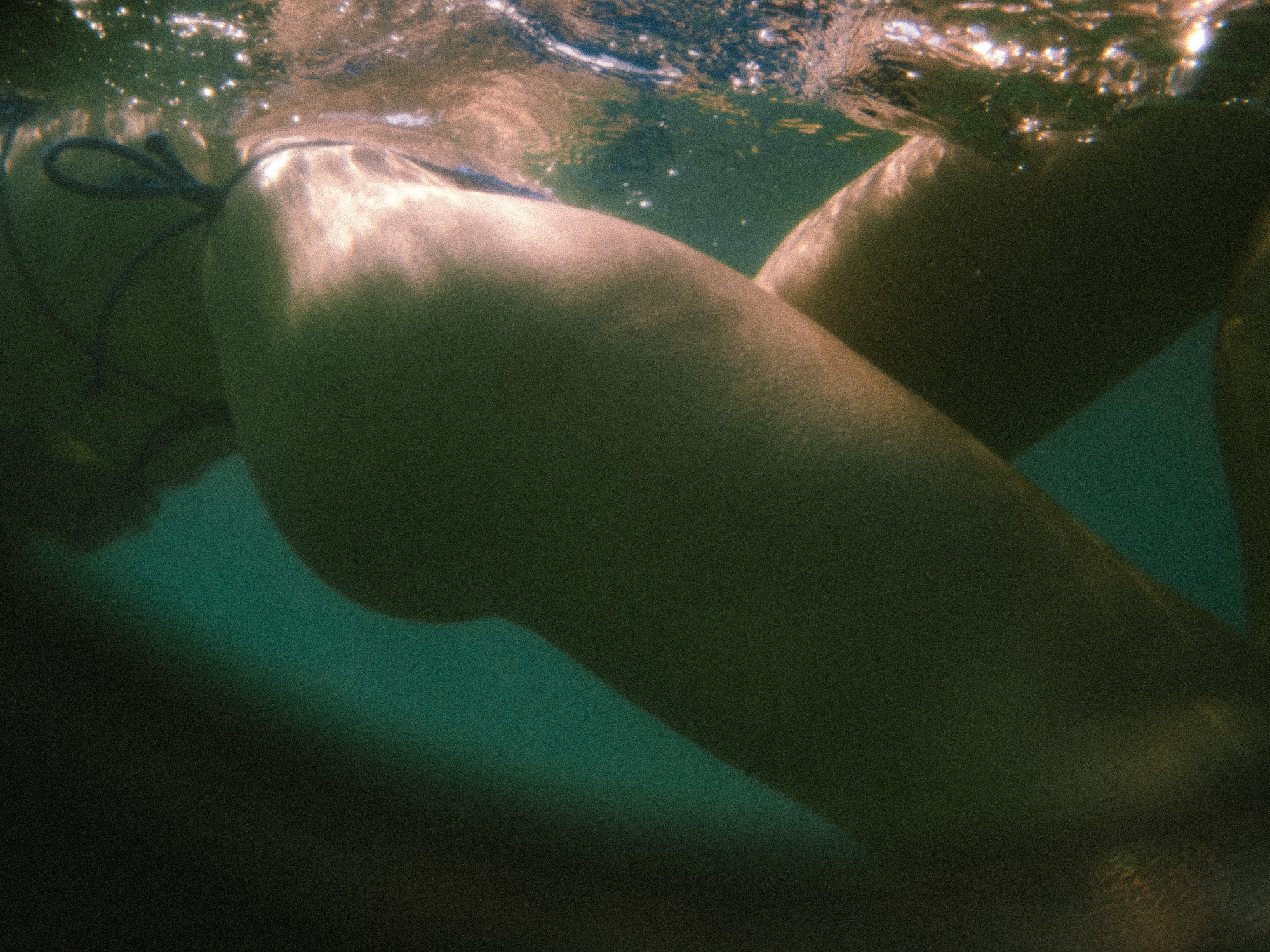 Лиза. Film portrait photographer