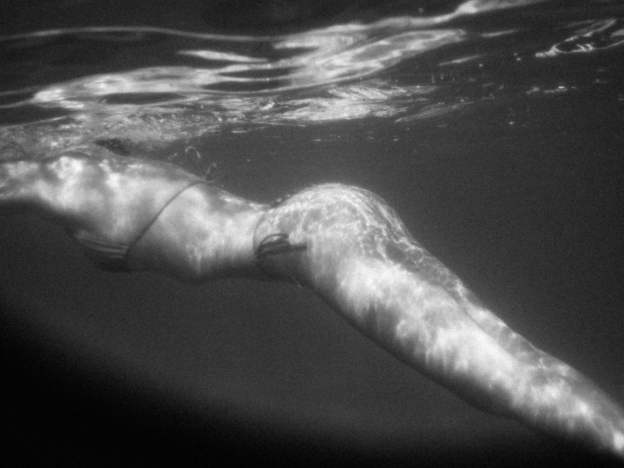 Лиза. Film portrait photographer