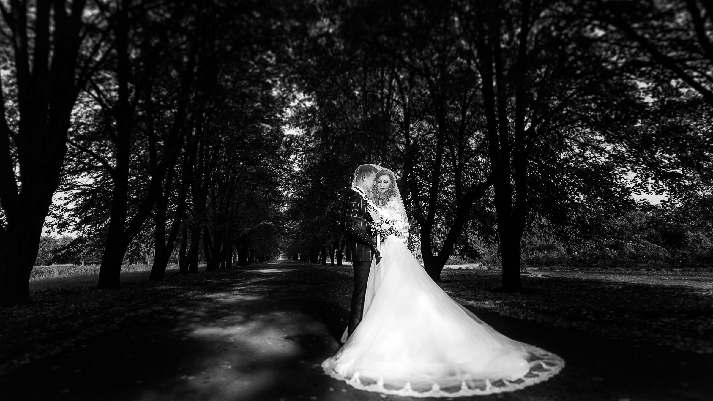 Свадебный и семейный фотограф в Донецке Алексей Токарев