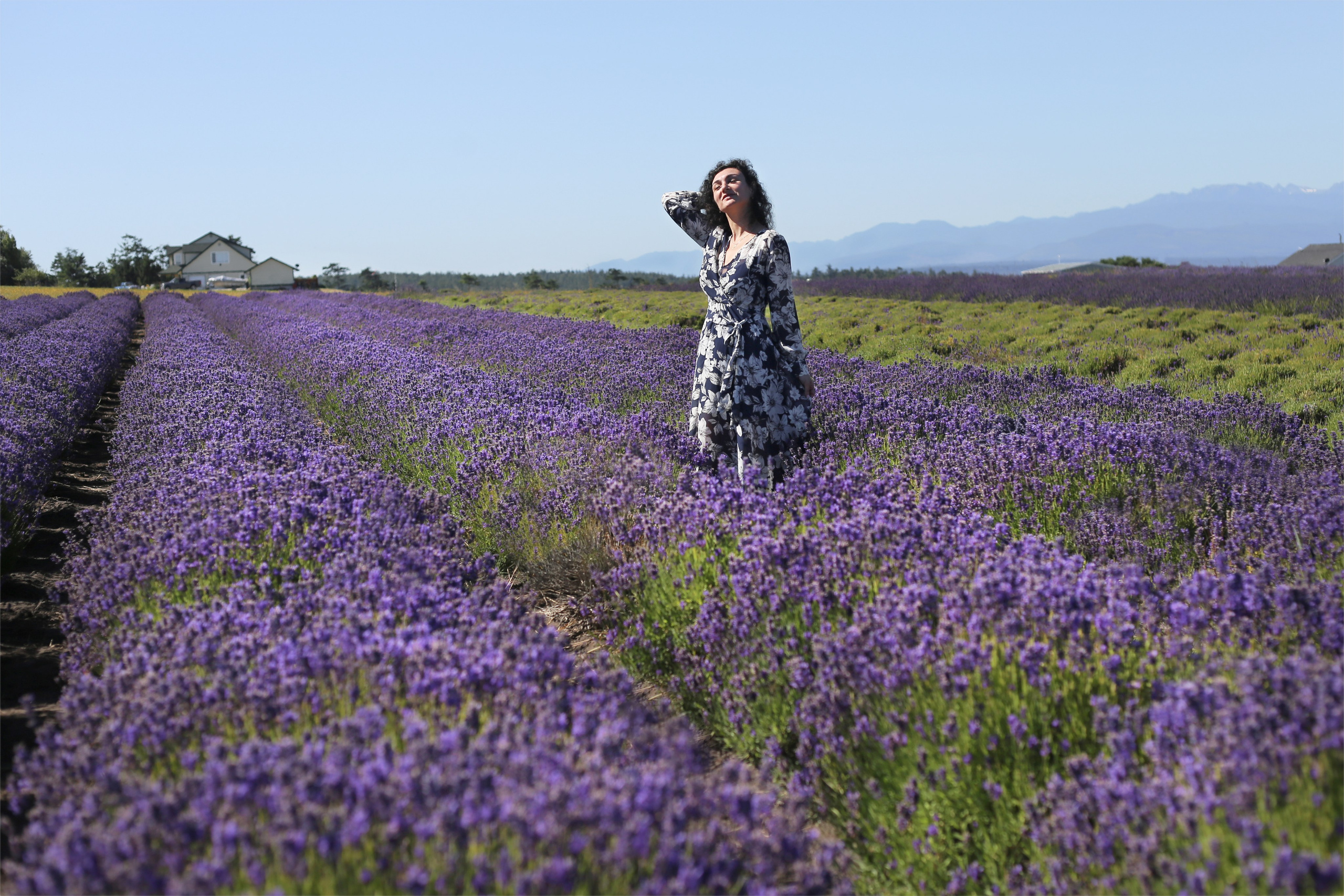 Lavender fields photoshoot. YuAnna studio. Family & Kids Photographer in Seattle area, located in