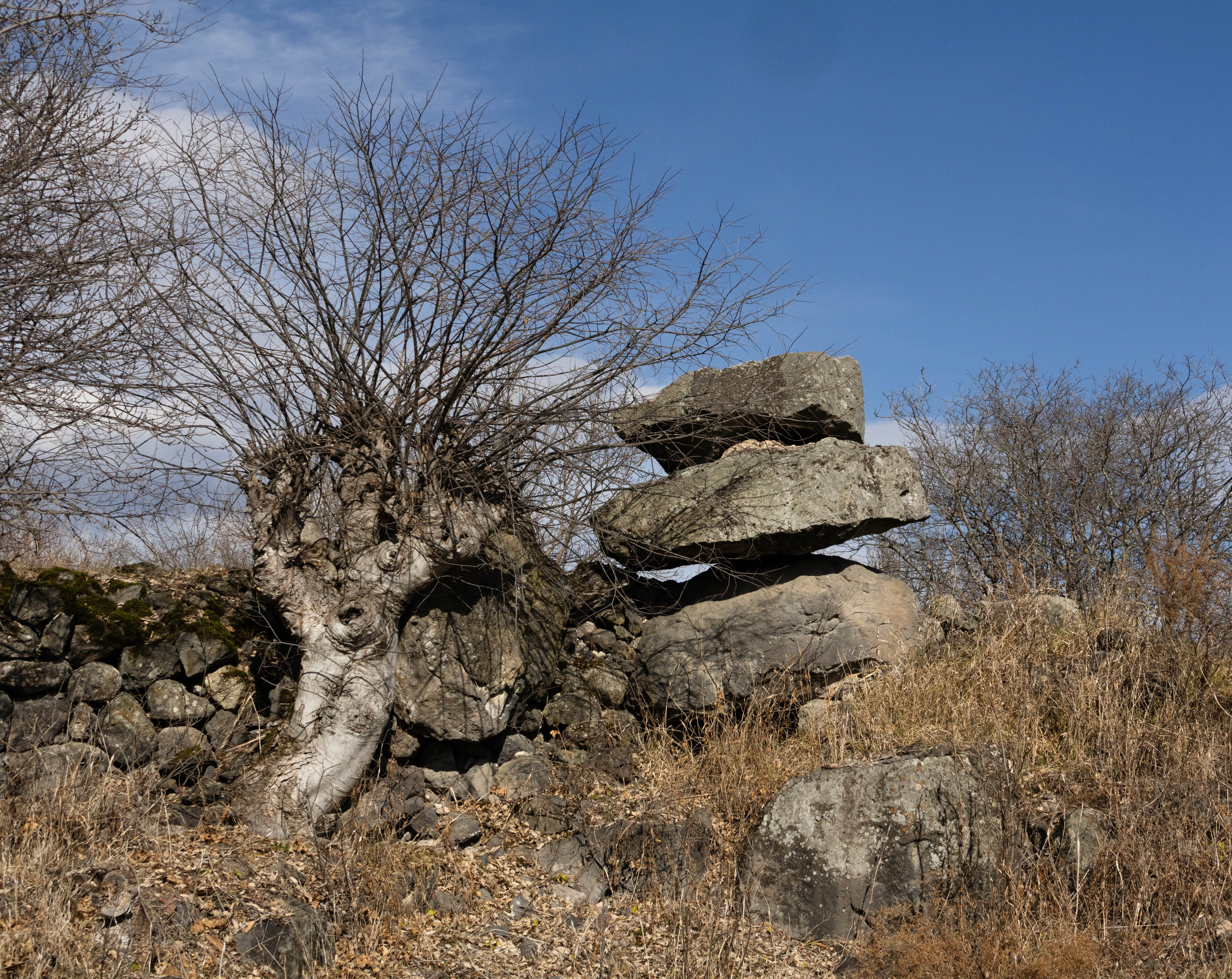 სამშვილდე. FramefreeMan