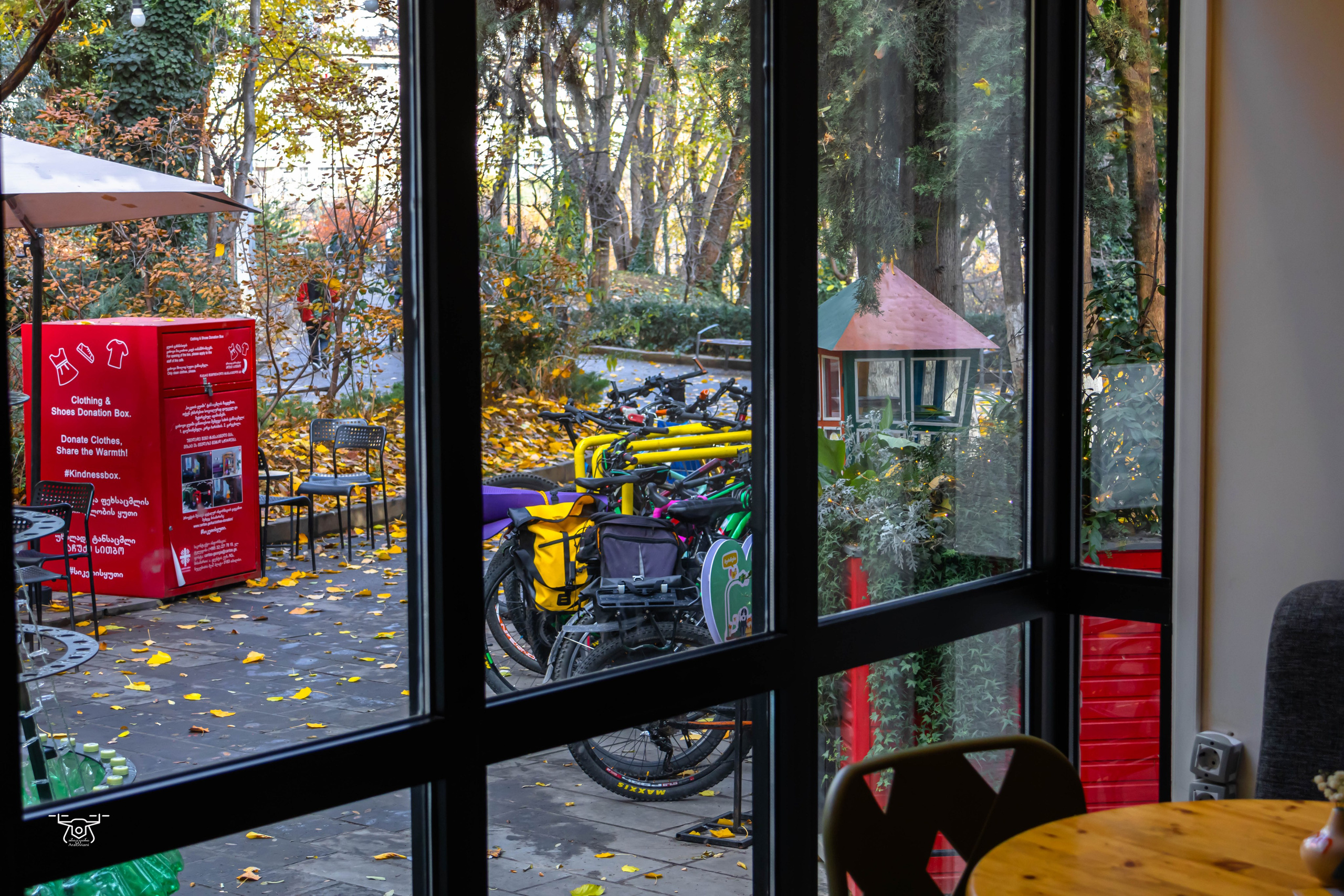 ქალაქი და ადამიანი. FramefreeMan