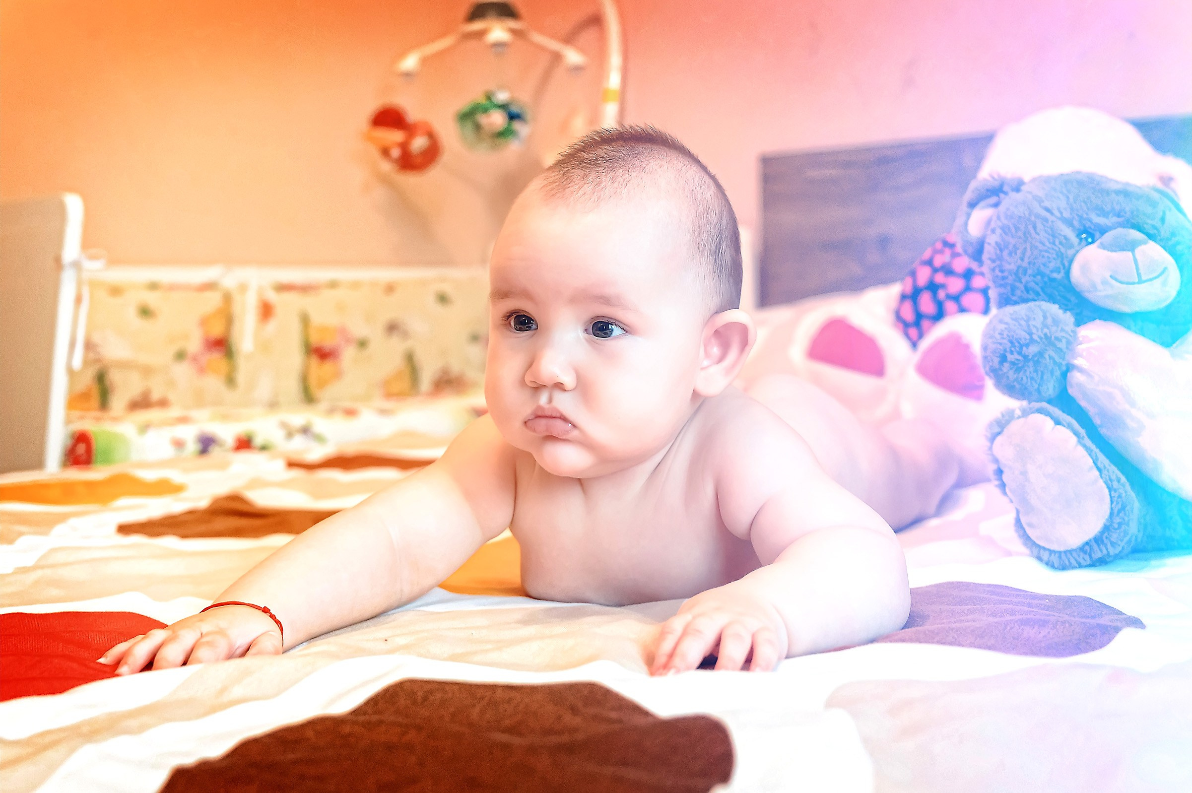 Fotograf Botez Nunta Oferta Pret Craiova Pitesti 2024