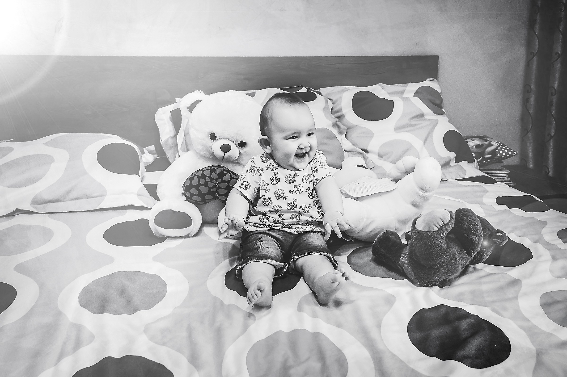 Fotograf Botez Nunta Oferta Pret Craiova Pitesti 2024