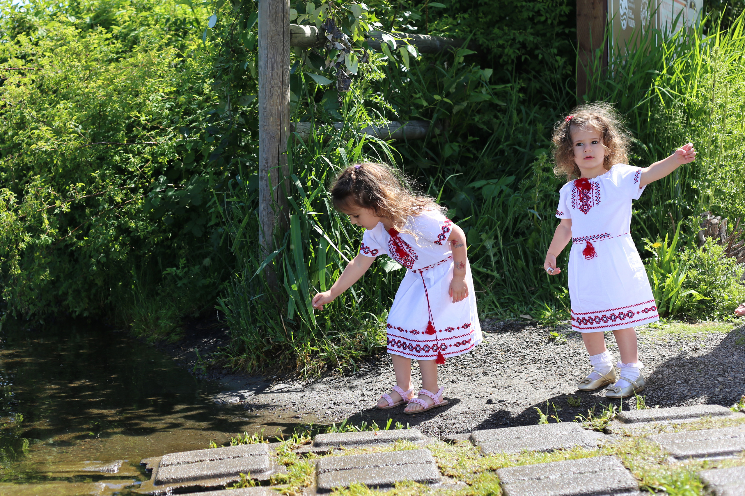 Summer. YuAnna studio. Family & Kids Photographer in Seattle area, located in