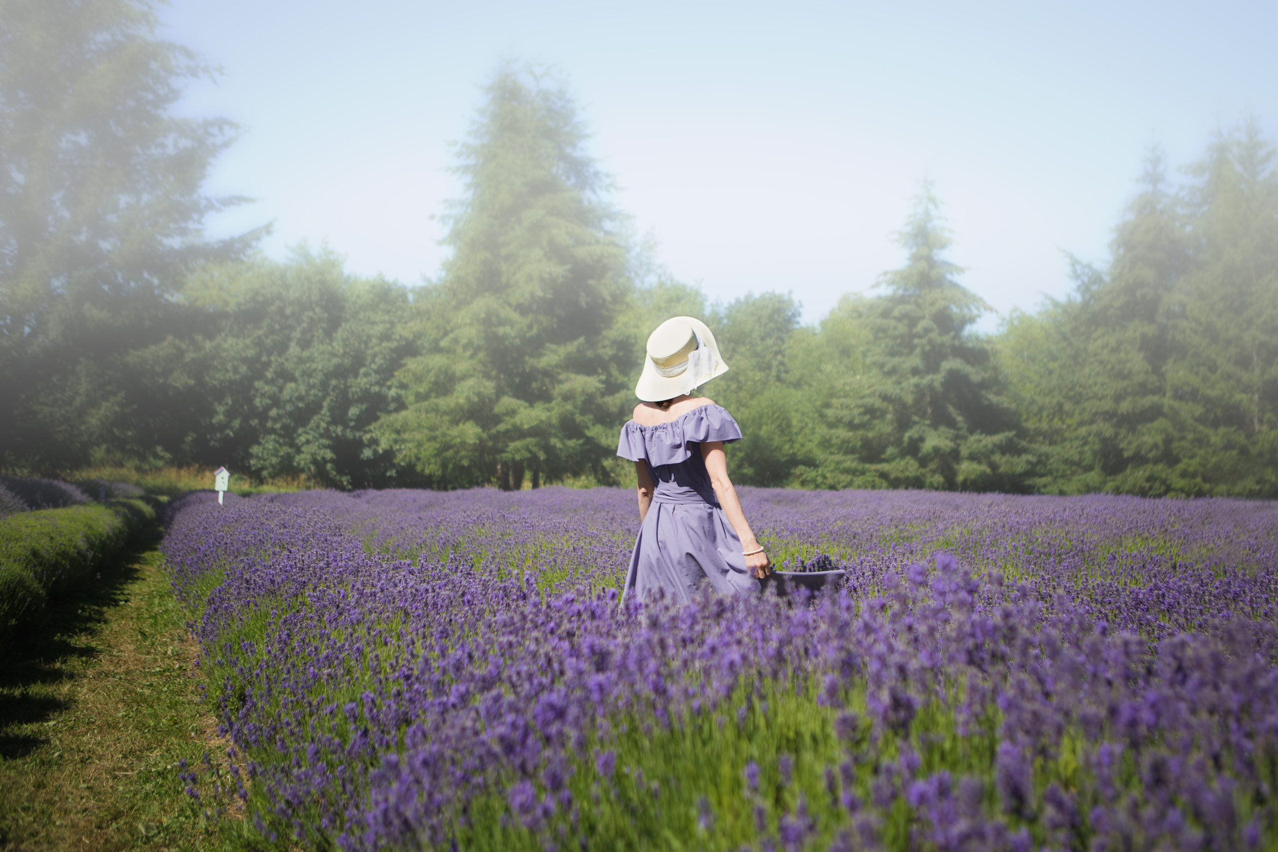 Summer. YuAnna studio. Family & Kids Photographer in Seattle area, located in