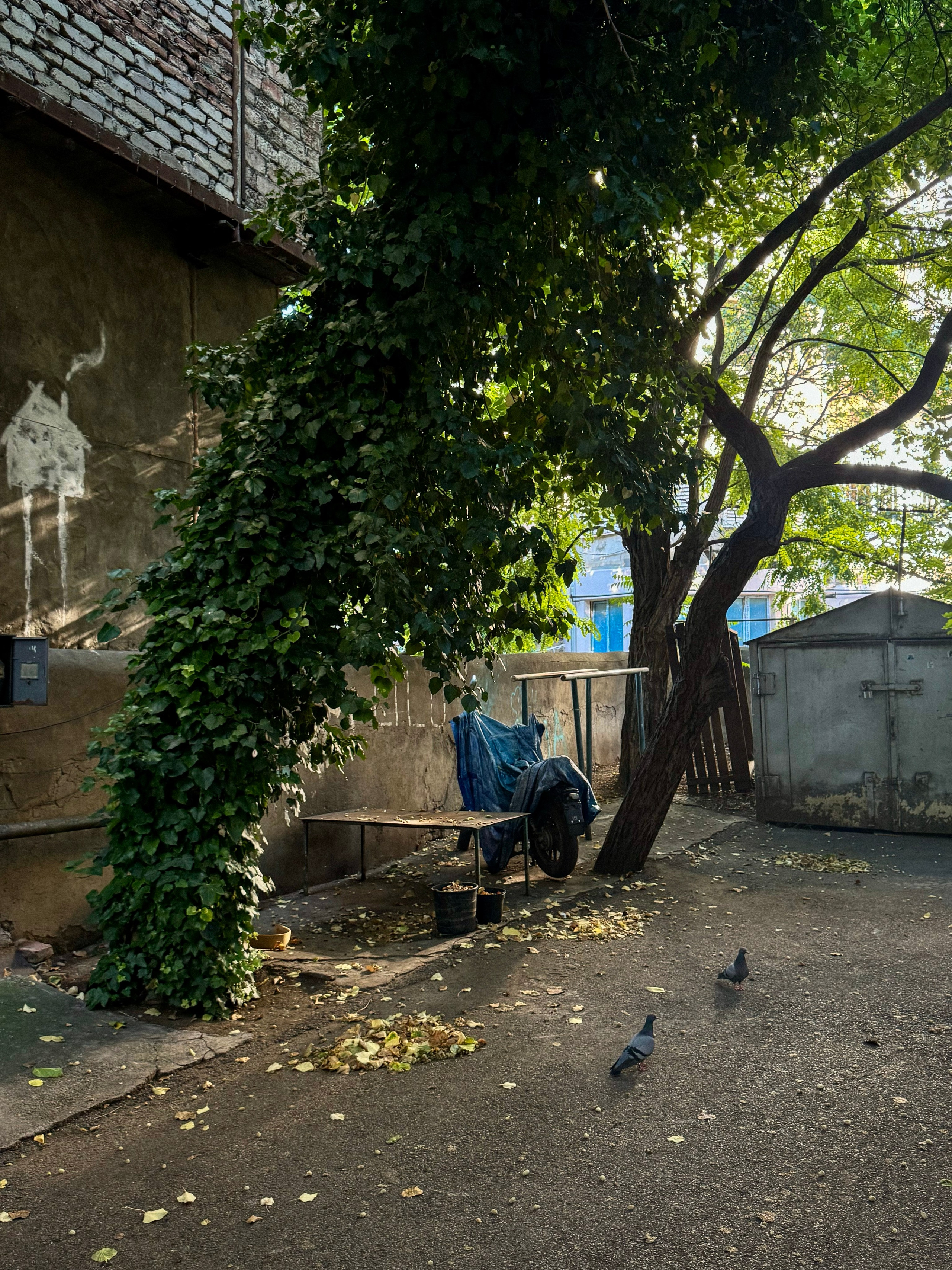 Tbilisi, Georgia. Vladislav Makarov. Portrait & Street style photographer in Baku