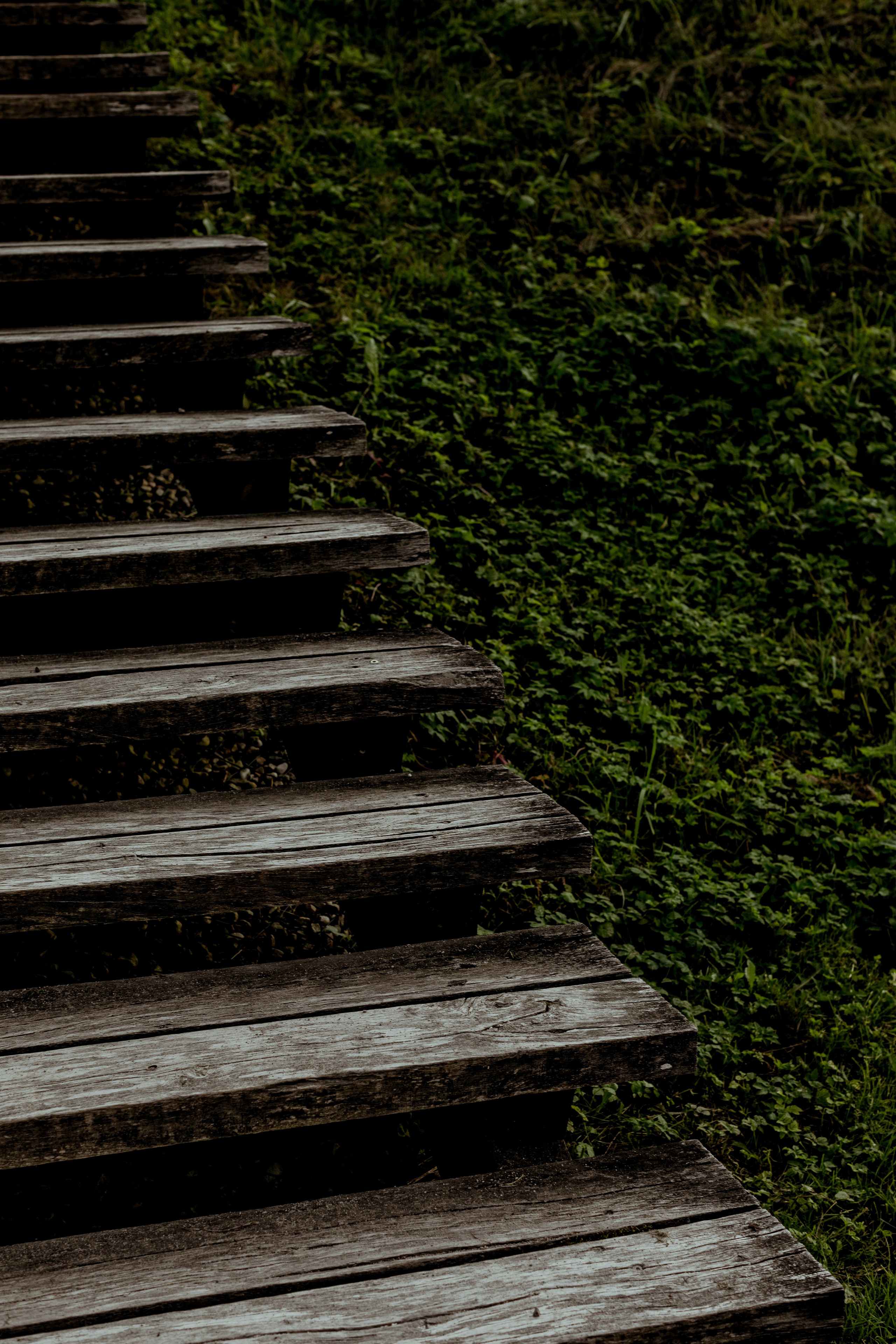 Liza / Pavel. Wedding and family photographer in Lithuania — Yvanessa Gelvano