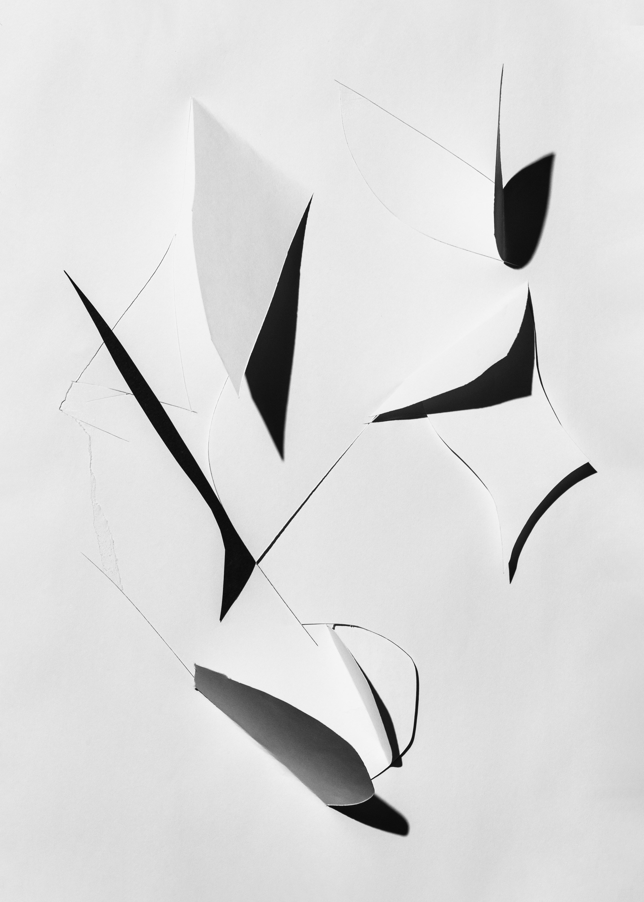 still life contemporary composition