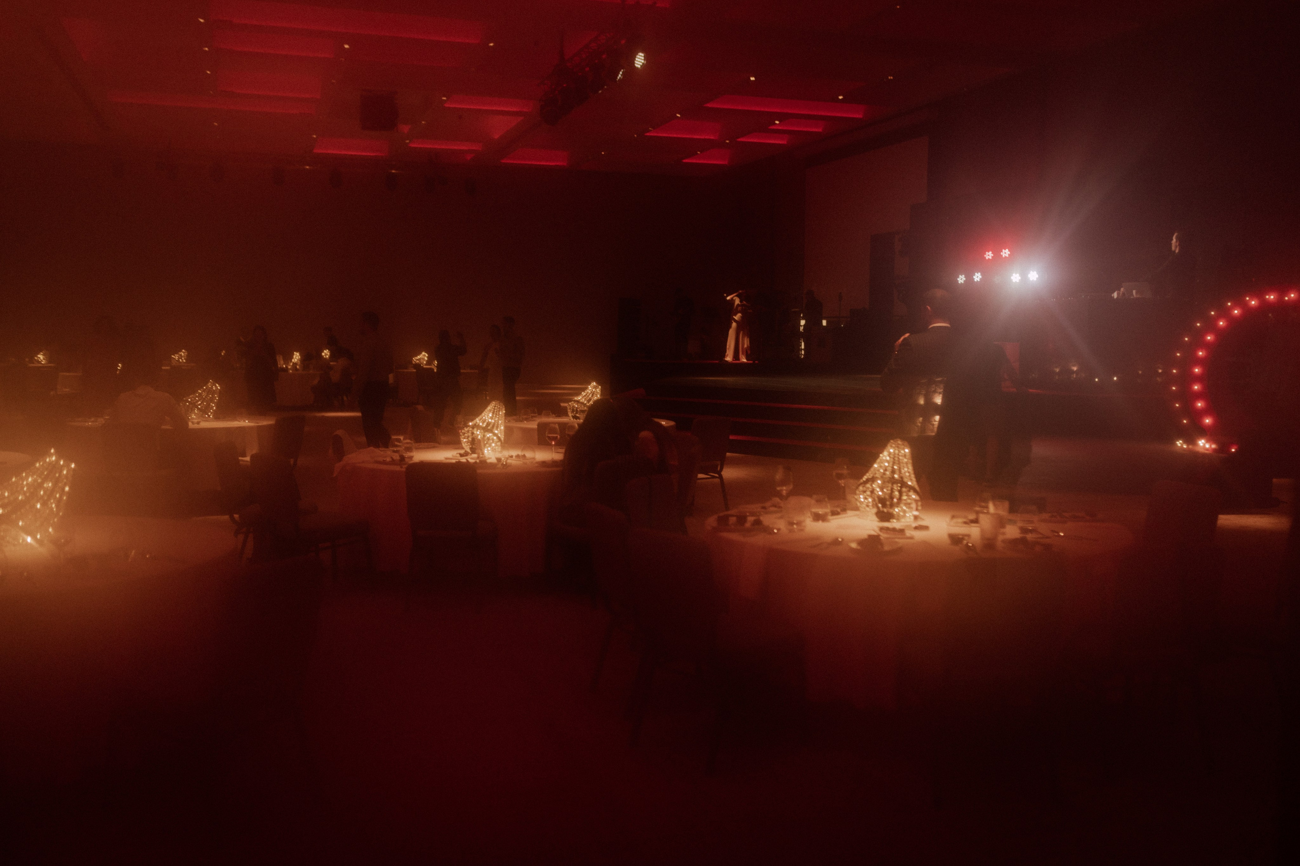 Evening/Indoor Events. Photographer Alina Sparrow