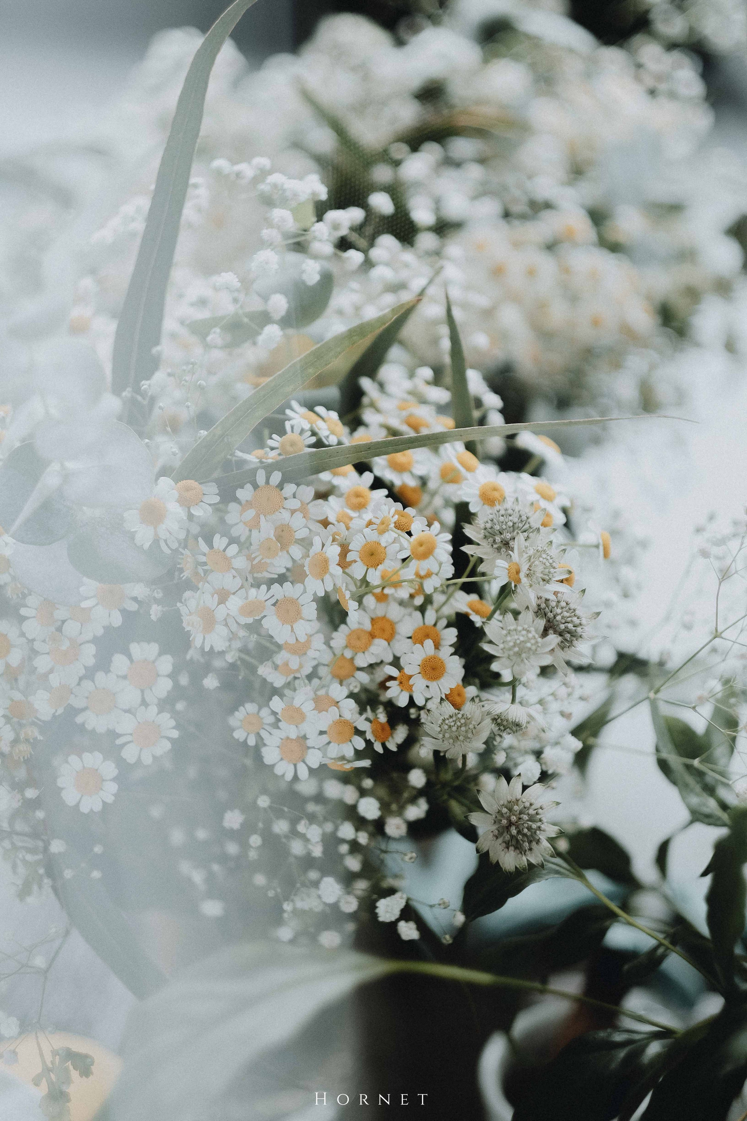 Iuliana + Ionut. Hornetart