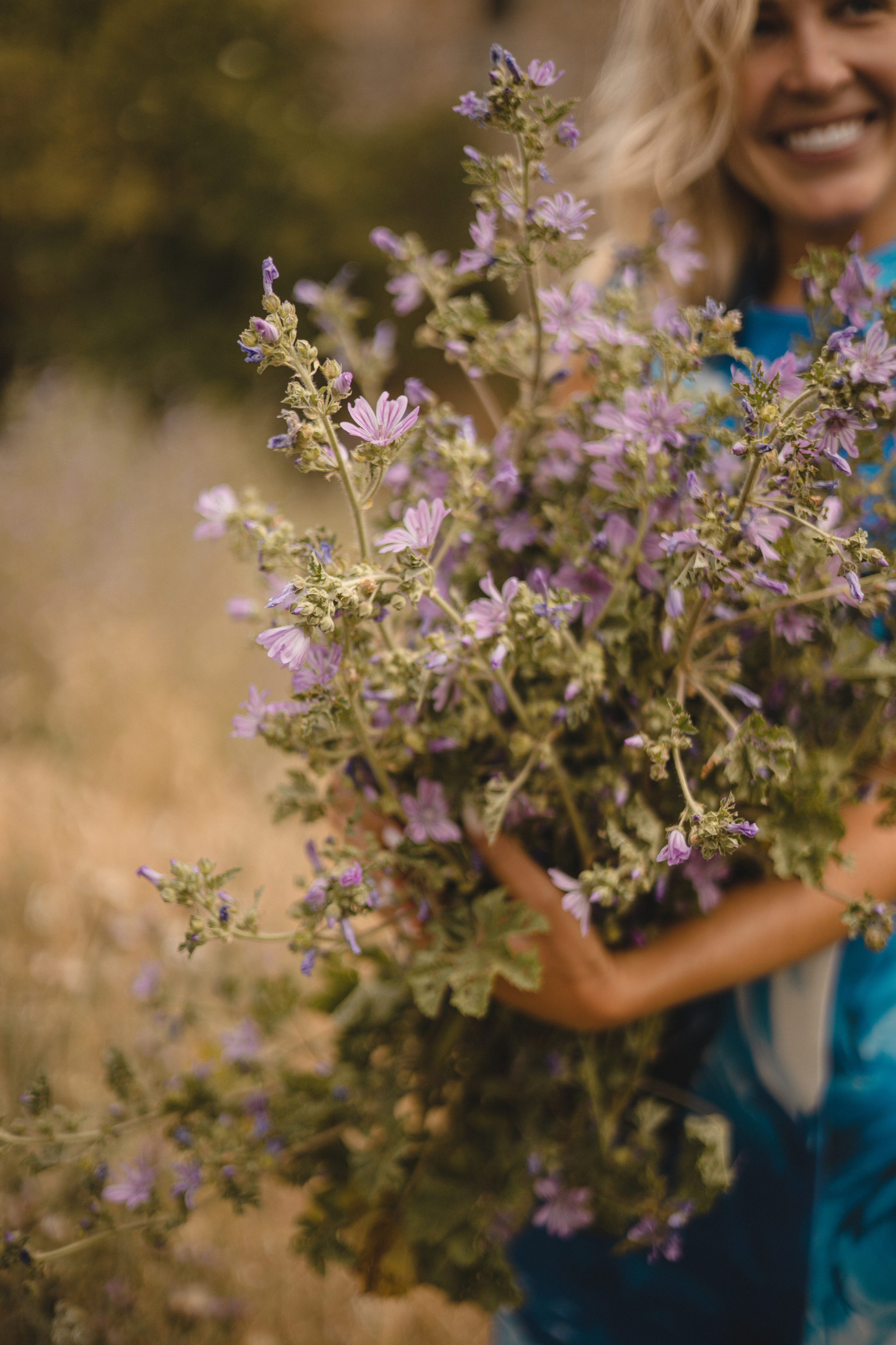 Burgos. Photographer Videographer Spain Barcelona Tarragona