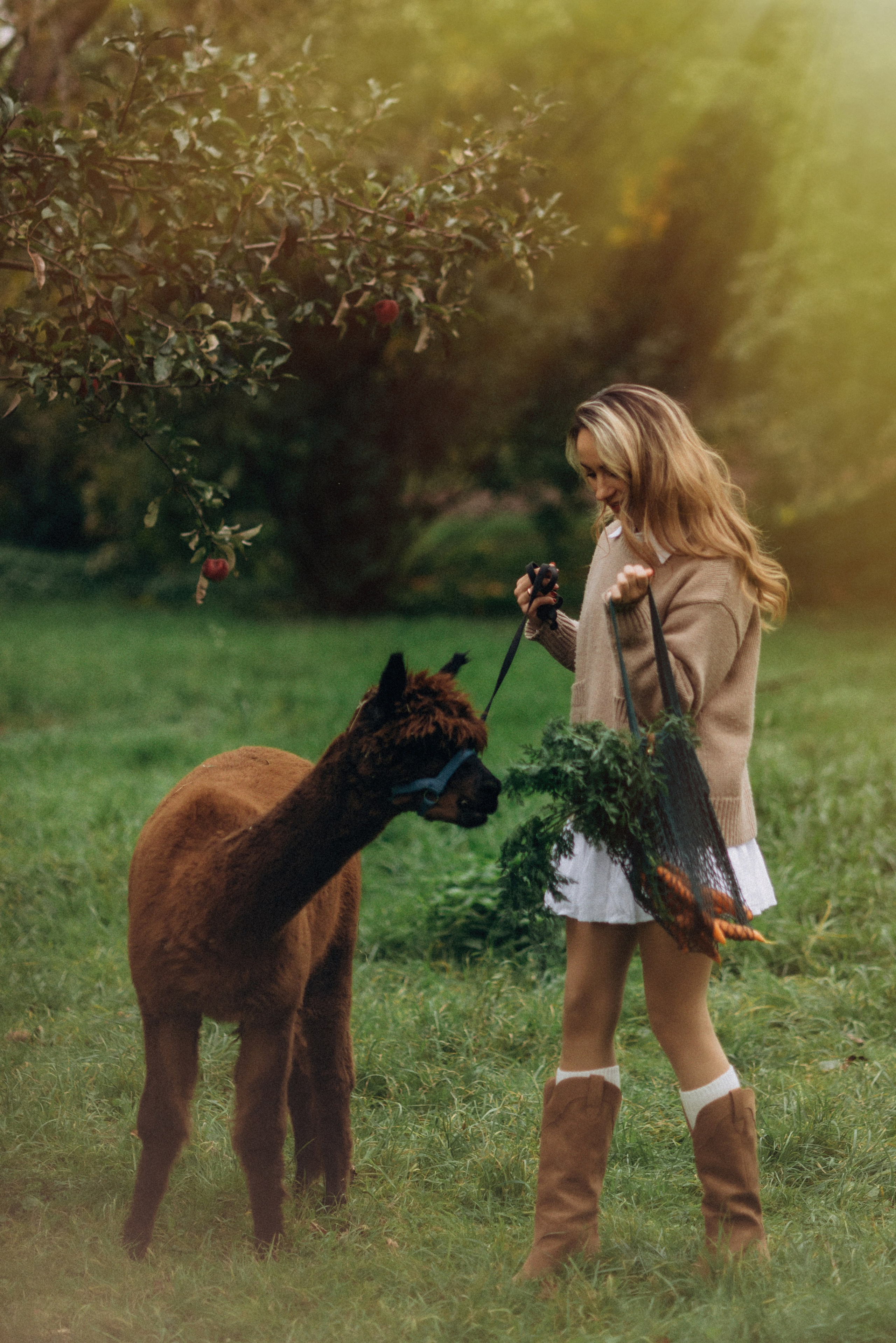 Семейная фотосессия с альпаками. Семейный фотограф Лейпциг, Германия