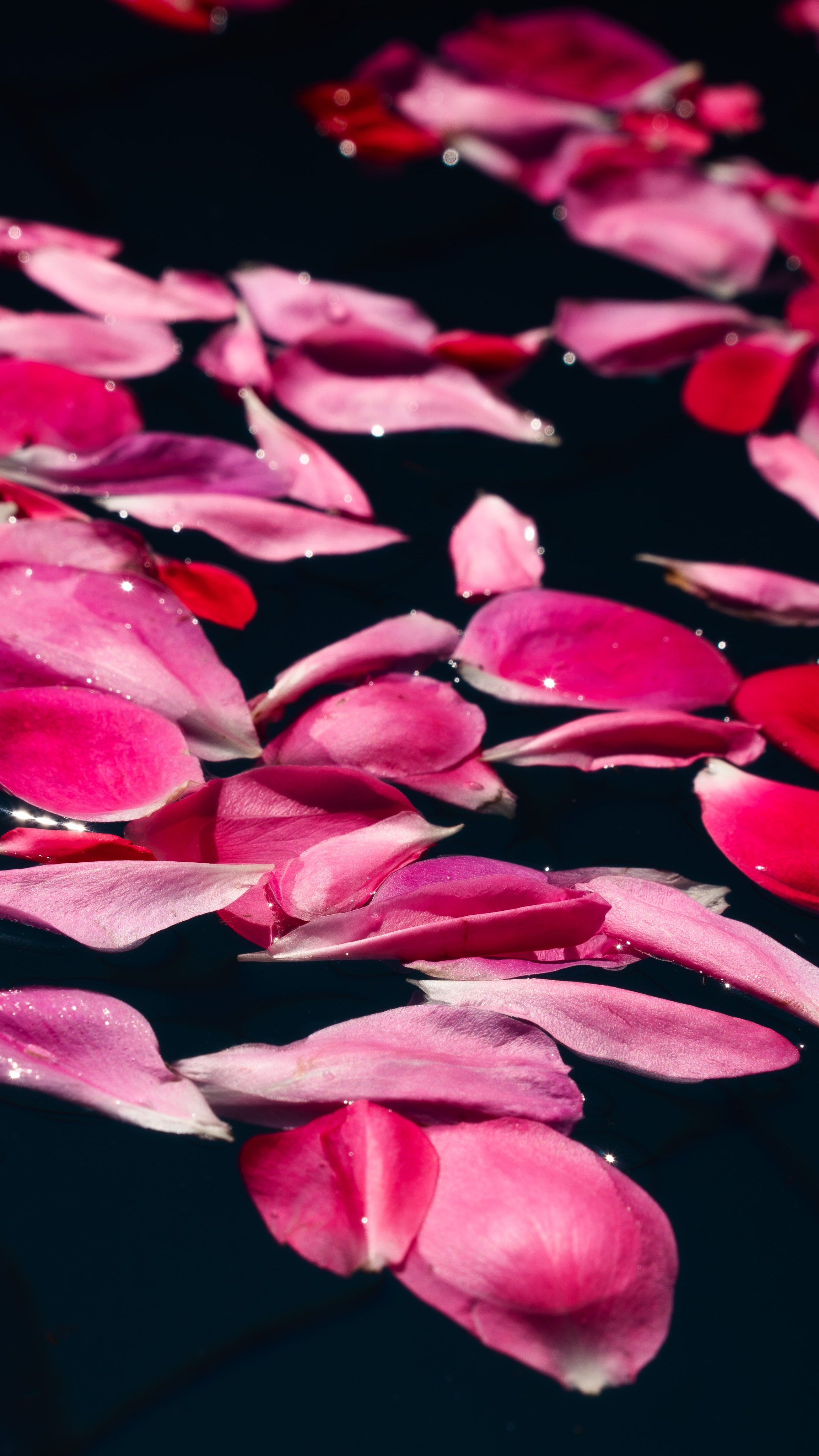 LENA | BAR. Montenegro photographer and videographer