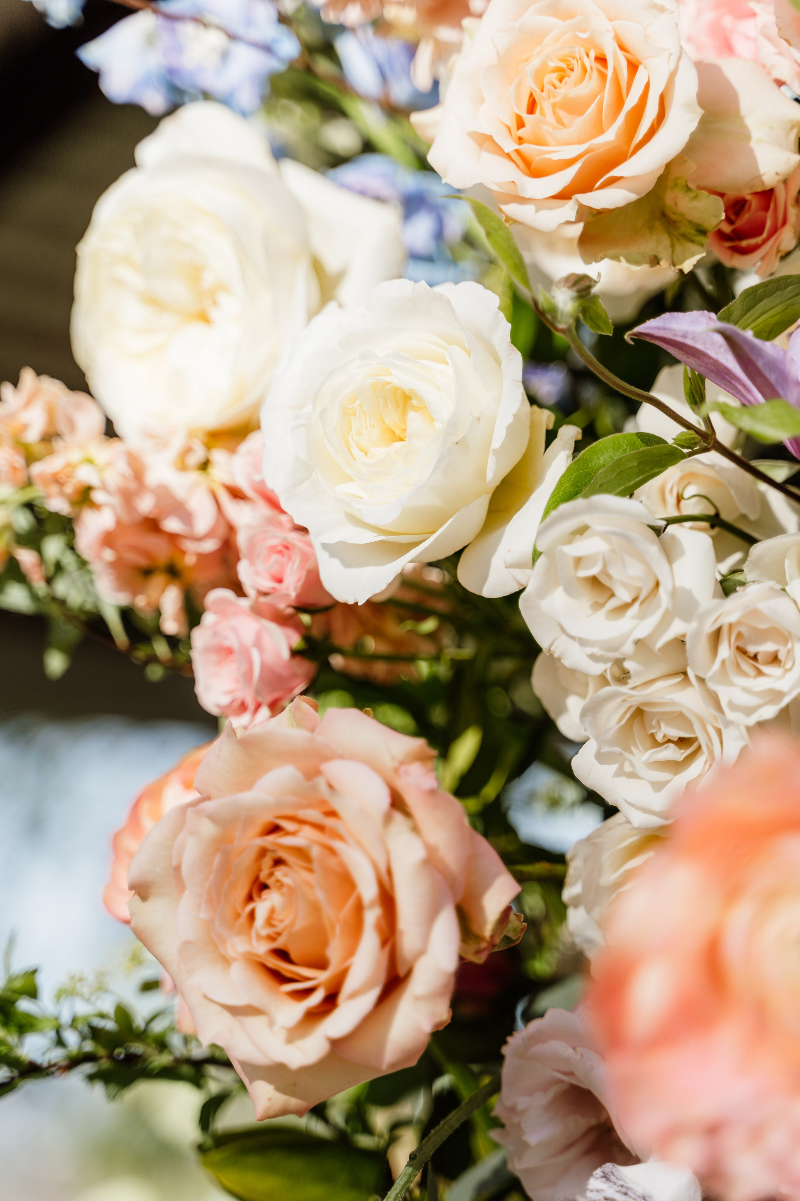 Daniel & Michelle Wedding. Pixel Pie — Wedding Photography & Videography