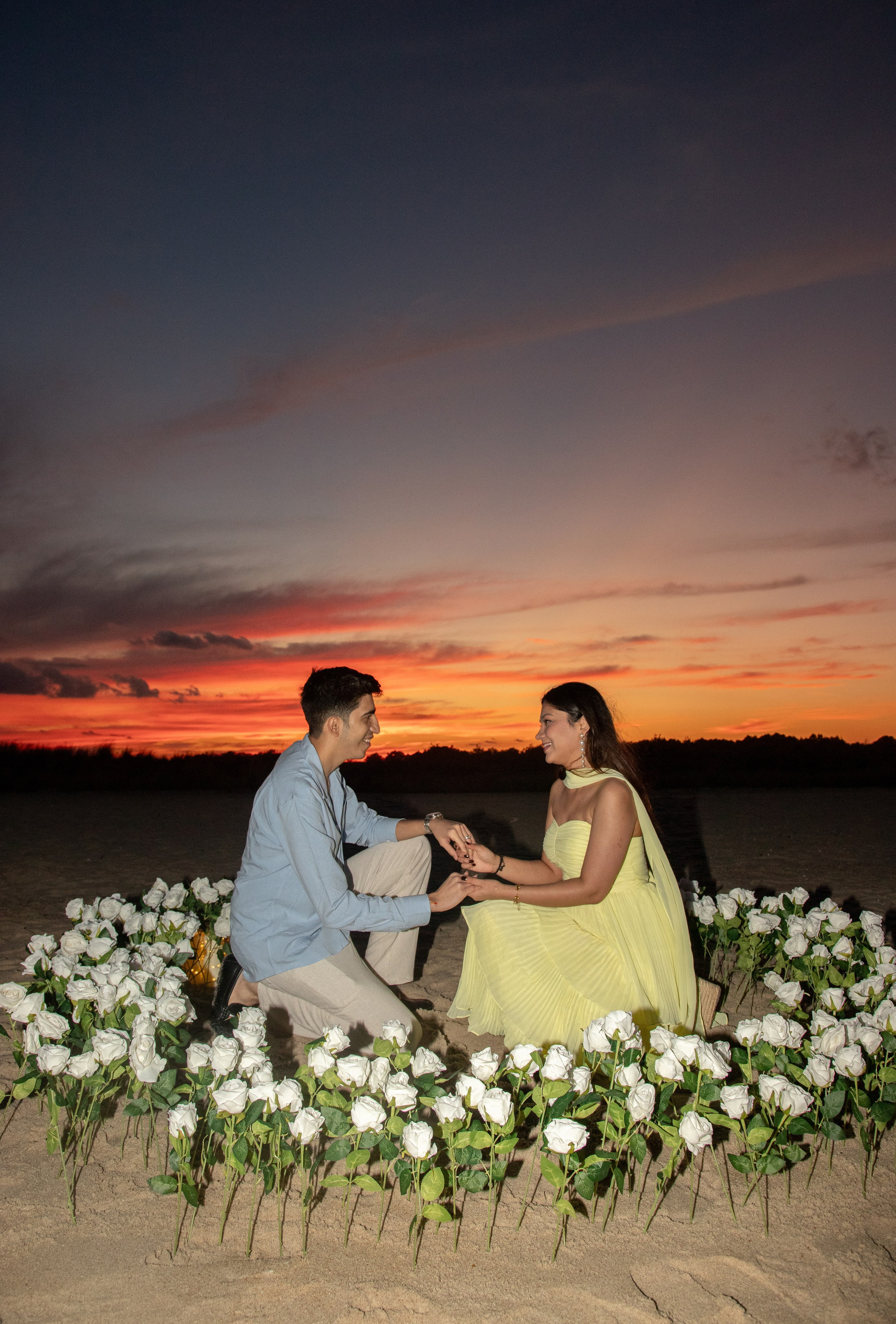 Proposal. Wedding Photographer & Videographer