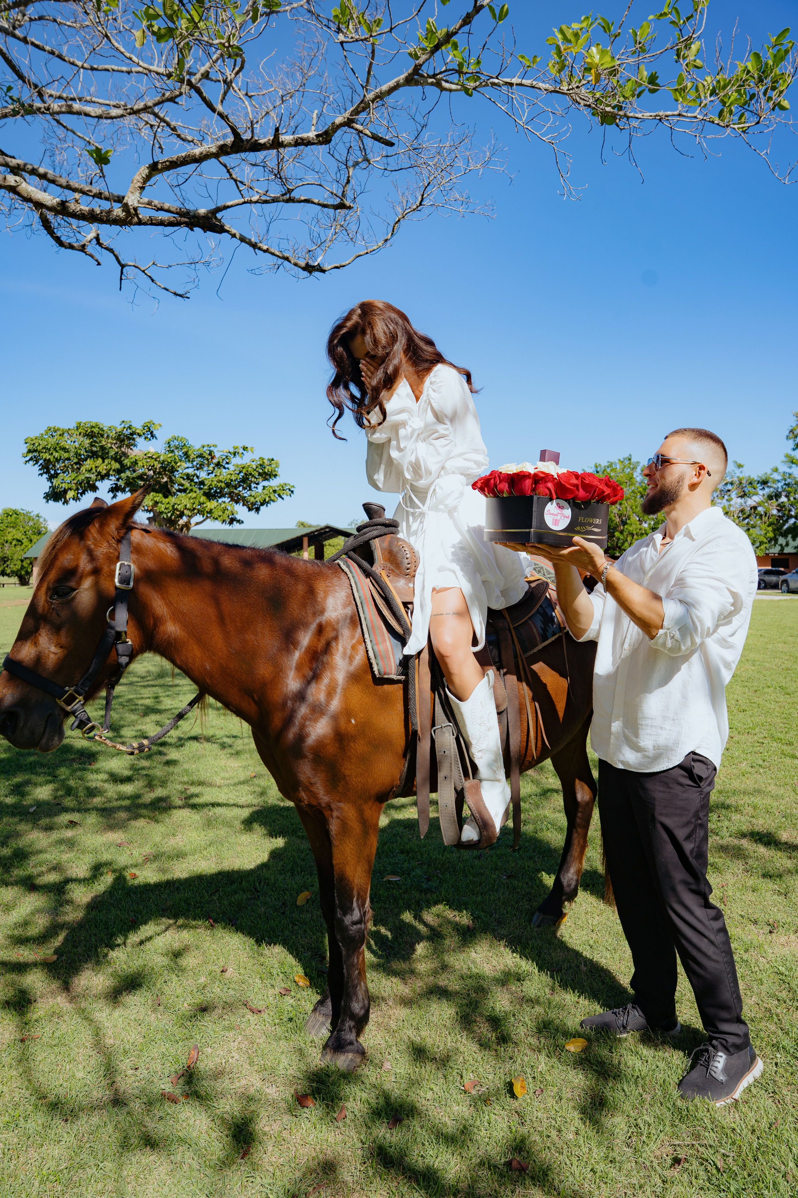Proposal in Puerto Plata. Photographer in Puerto Plata and Santo Domingo, Dominican Republic