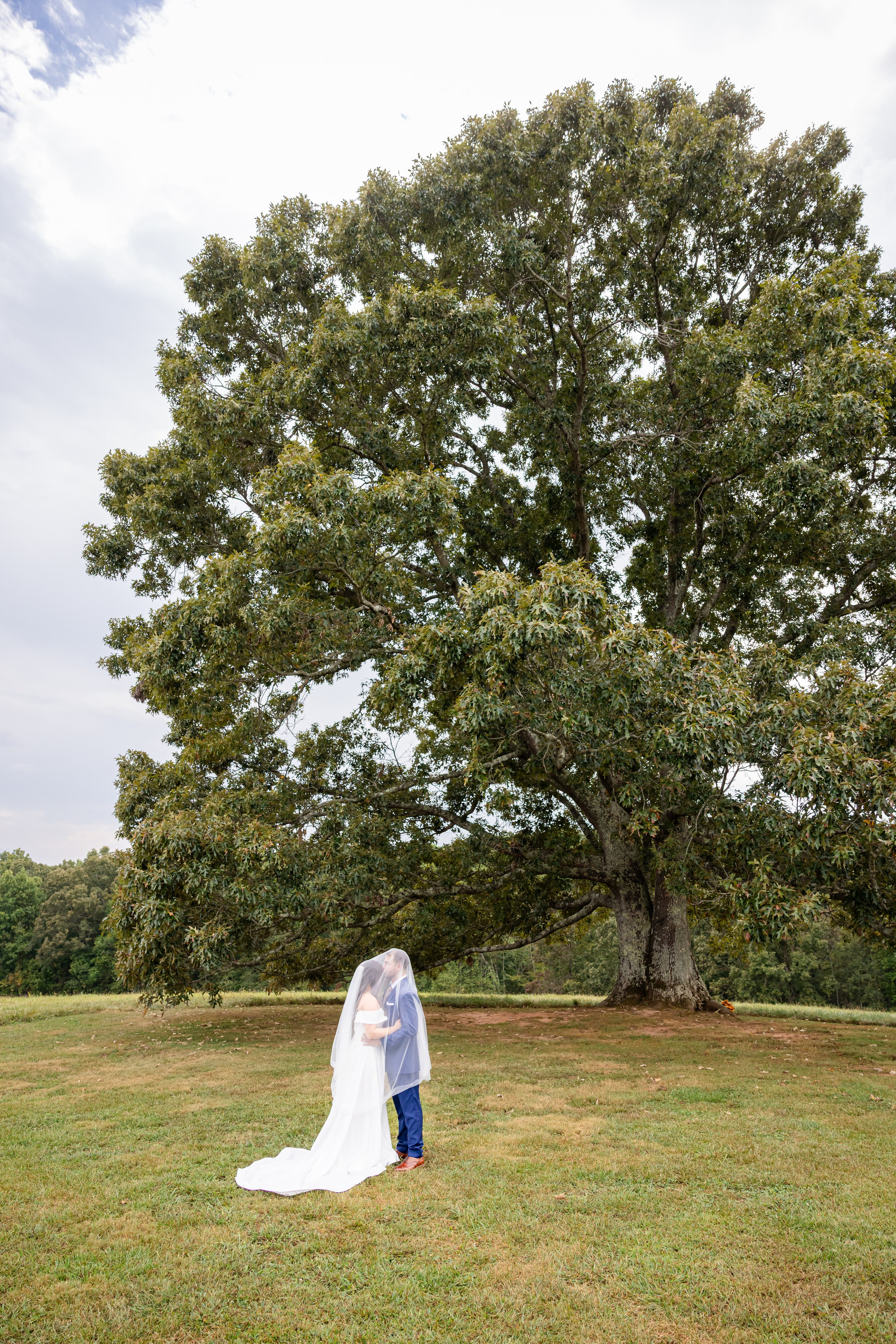 Rhodes & Allison’s Timeless Wedding at Greenbrier Farms. Wedding and portrait photography in Greenville SC