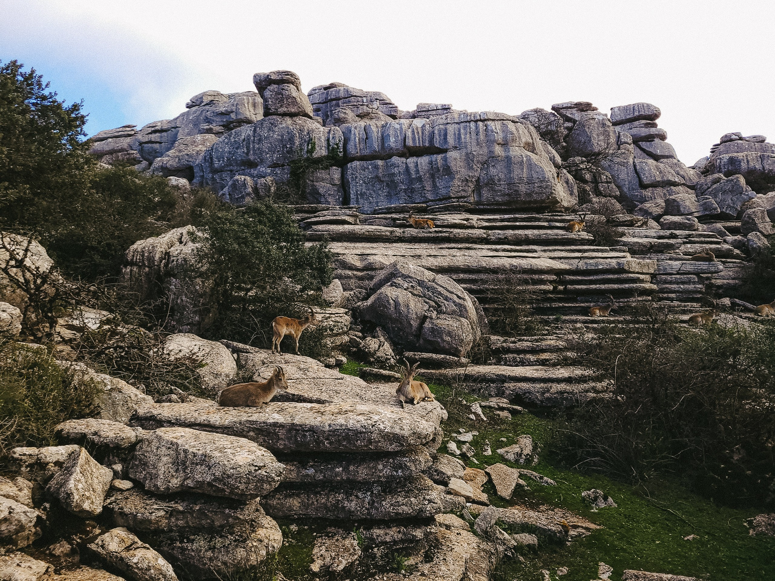 SPĀNIJA, MALAGAS APKĀRTNE