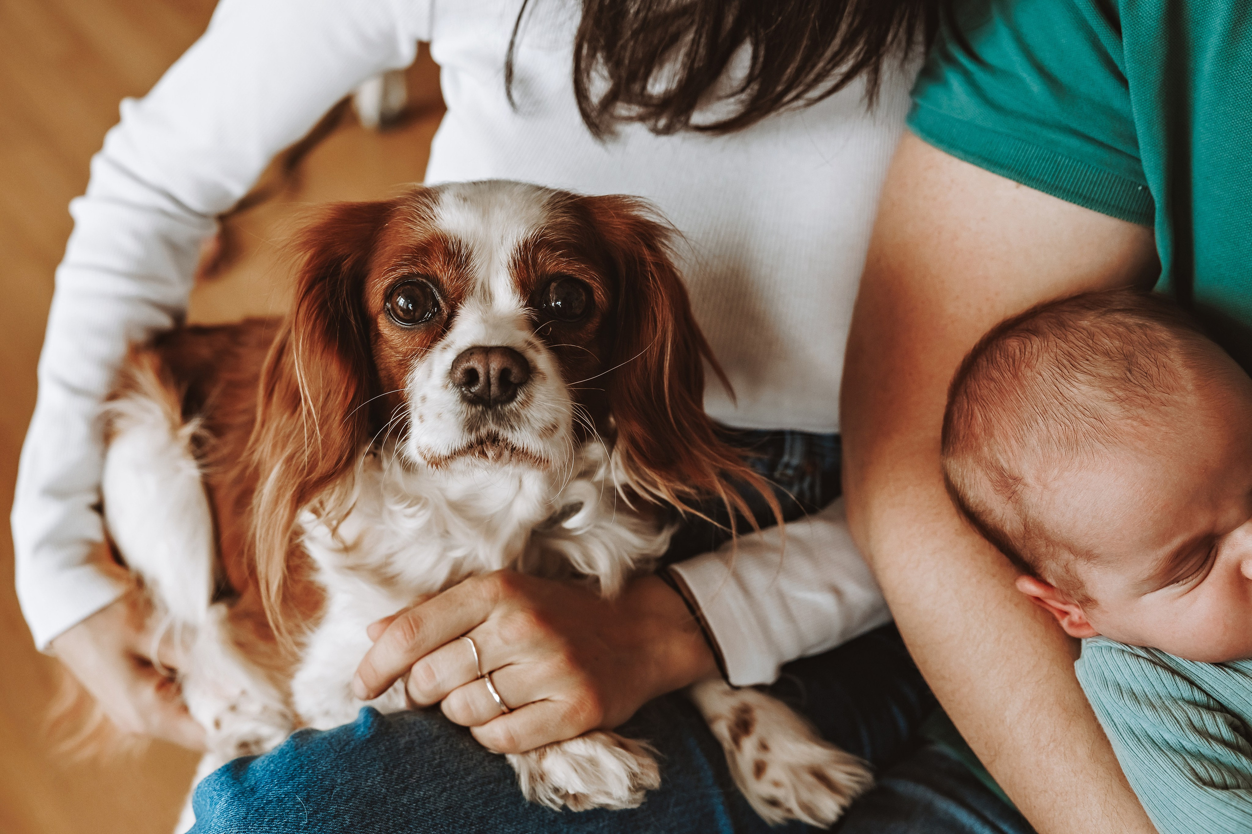 Фотосесия за новородено. Фотограф Ирина Йотова