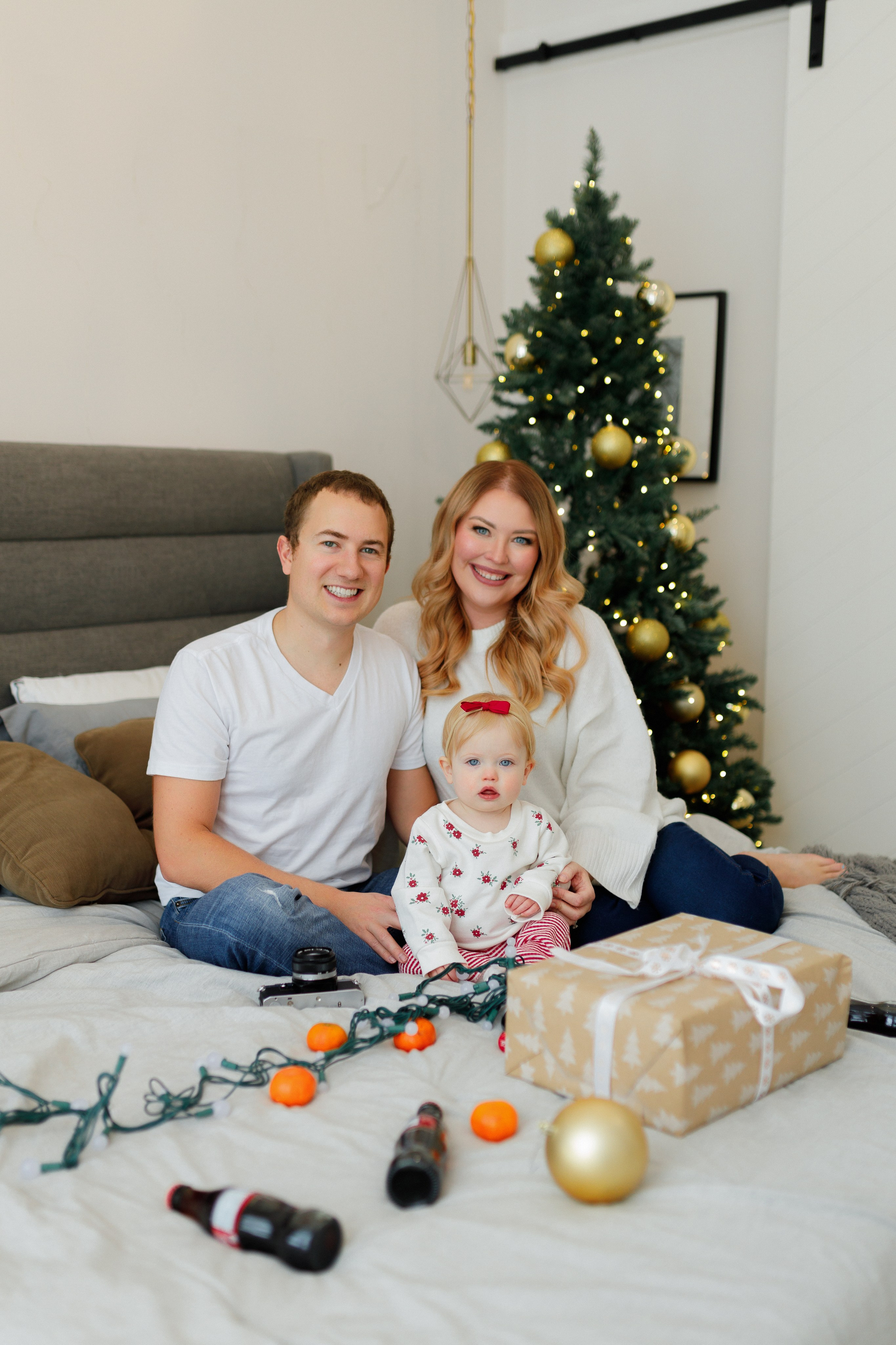 Christmas minis 2025. Home