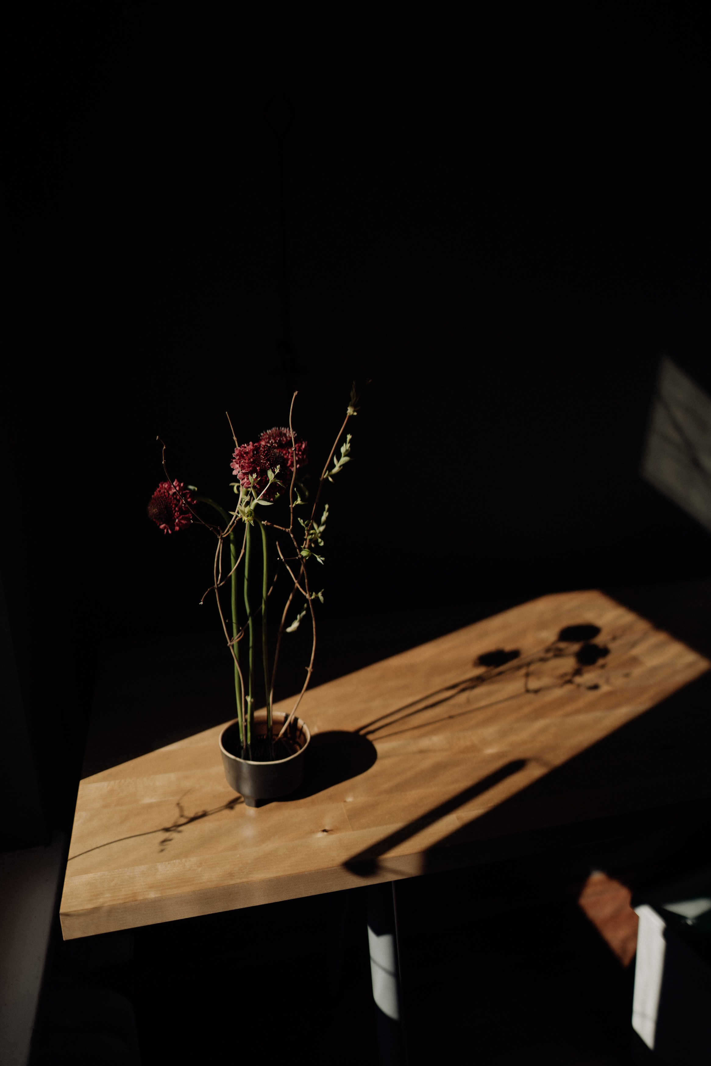 Elena. Фотограф в Праге Анна Лебедева