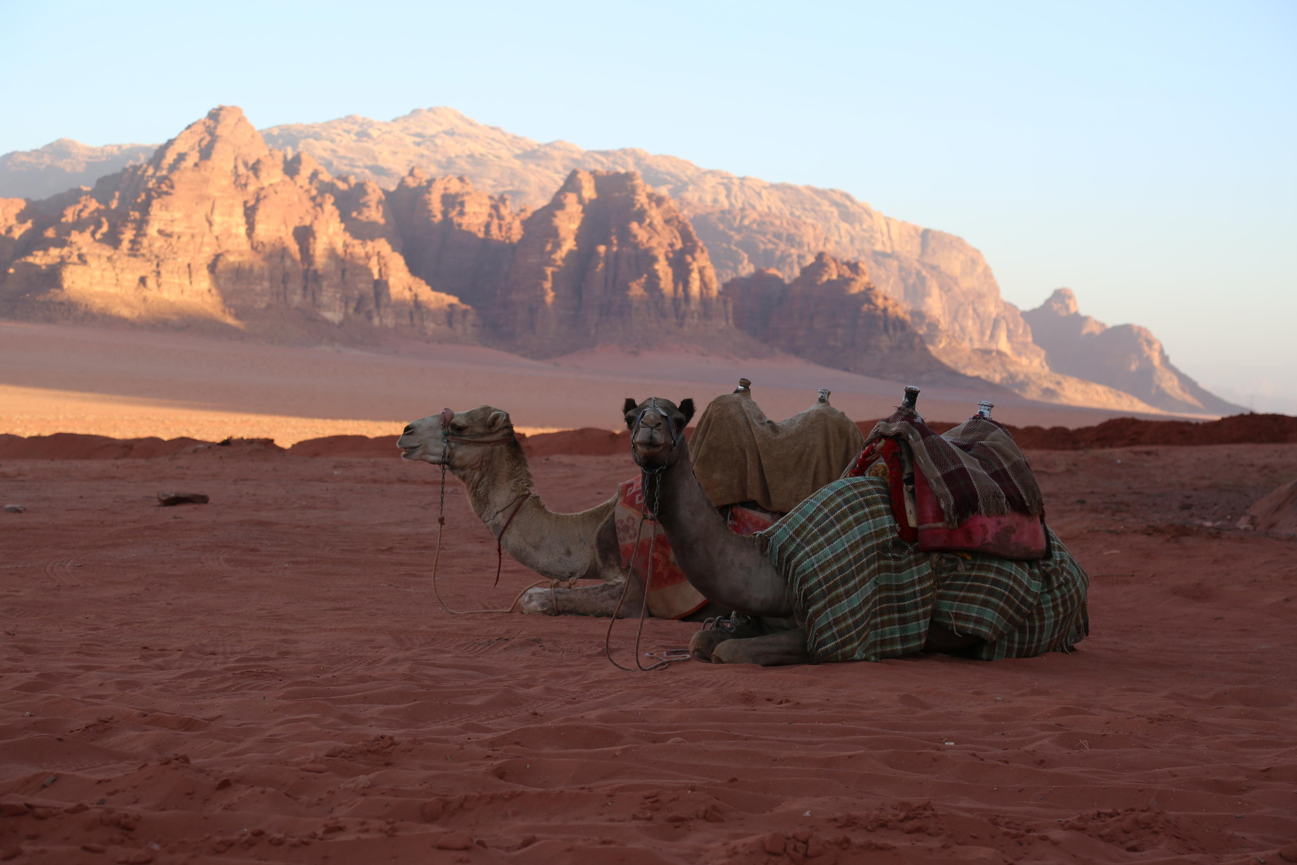 About Me. Photographer in Milan |Mila Pro Photo