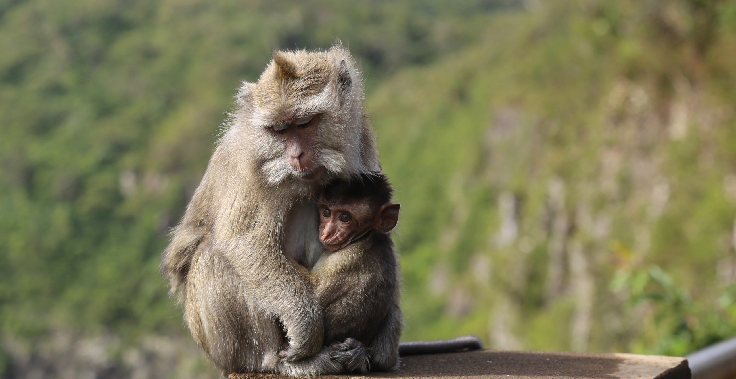 About Me. Photographer in Milan |Mila Pro Photo