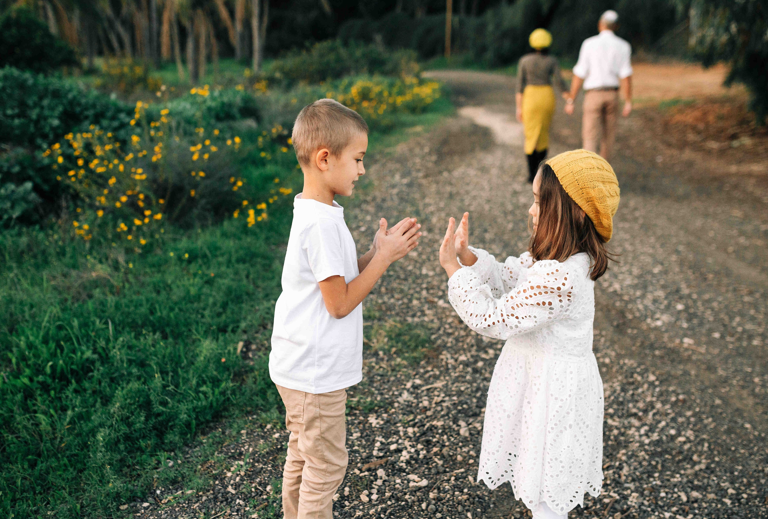 MANDARNINE GARDEN. Https://shi-photo.com/